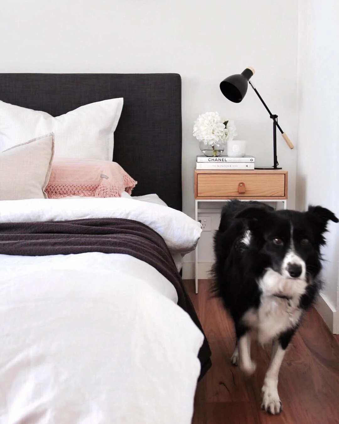 MIchelle’s fur baby is very much at home in the bedroom. Source: @everyday.home