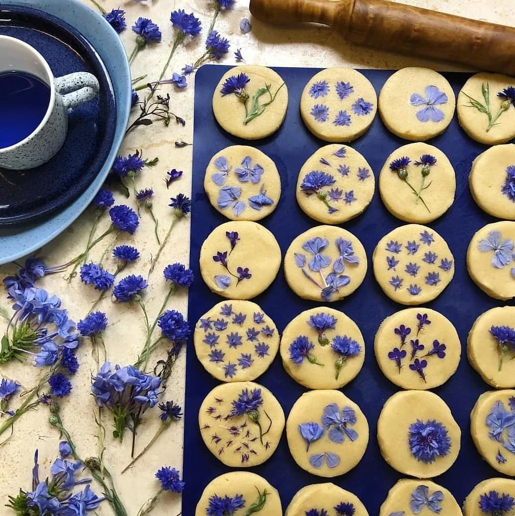 Preserving flowers + leaves 3 quick + easy methods — Creatively Squared