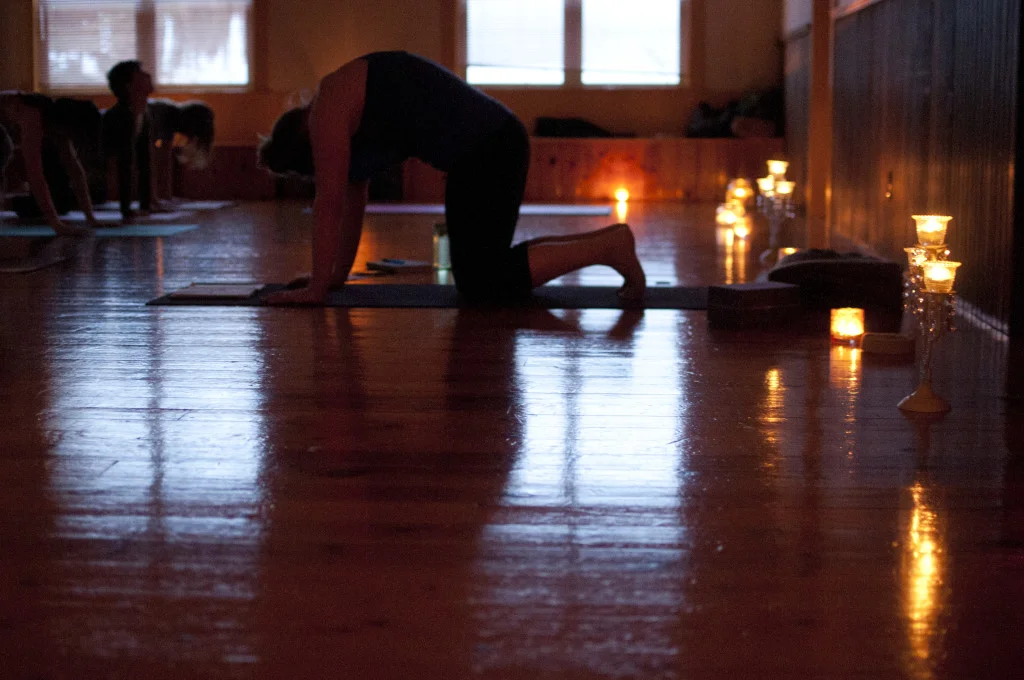yog-6-1024x680.jpg