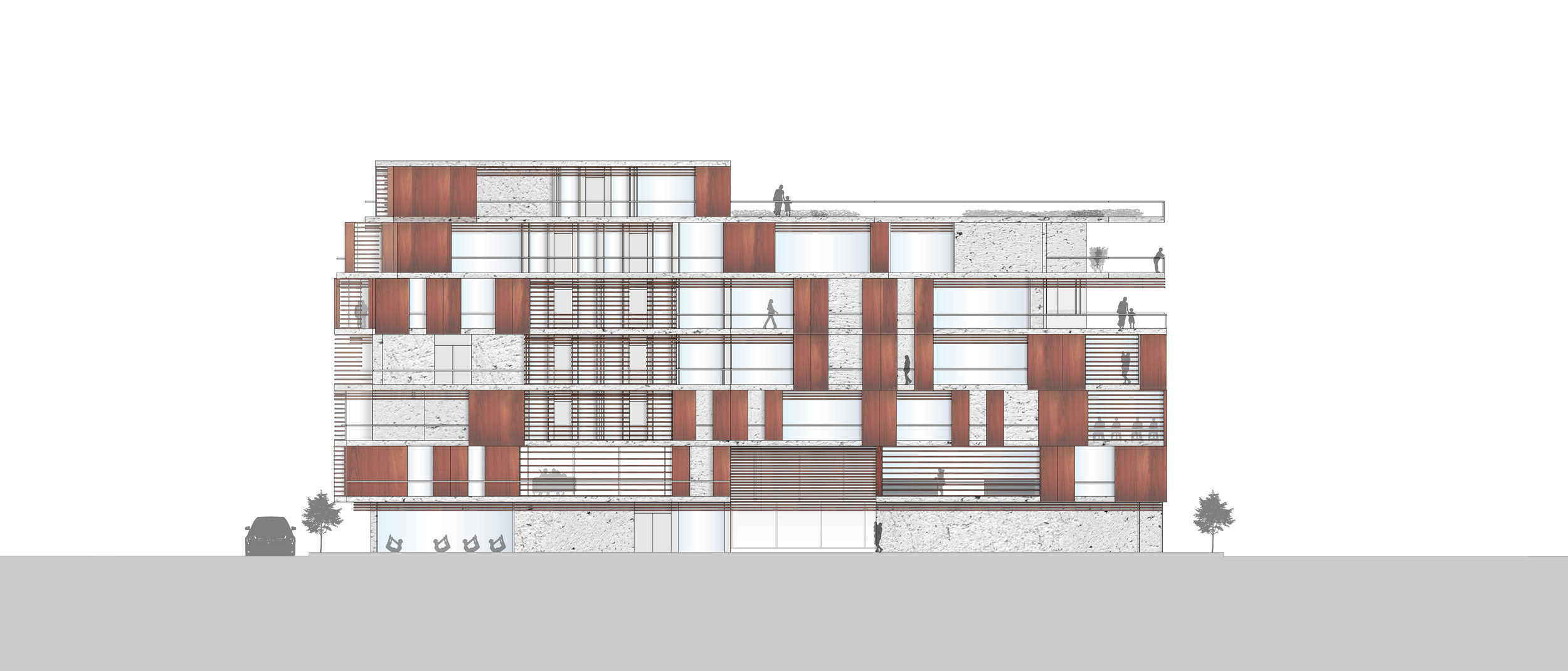 Elevation