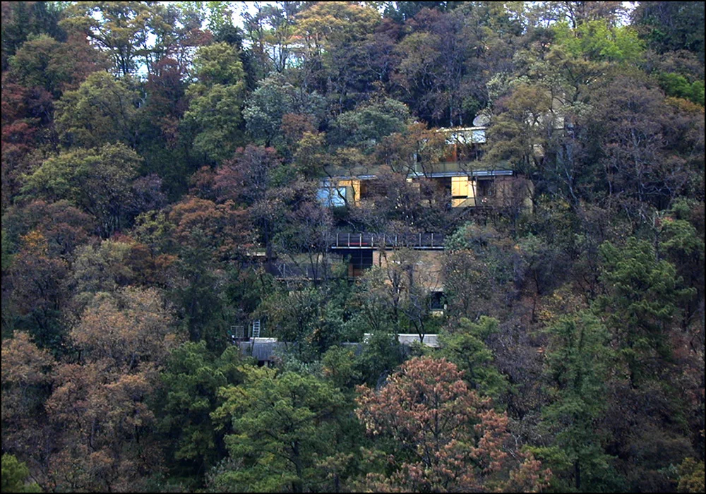 vista_5-(pr)-1000x.jpg