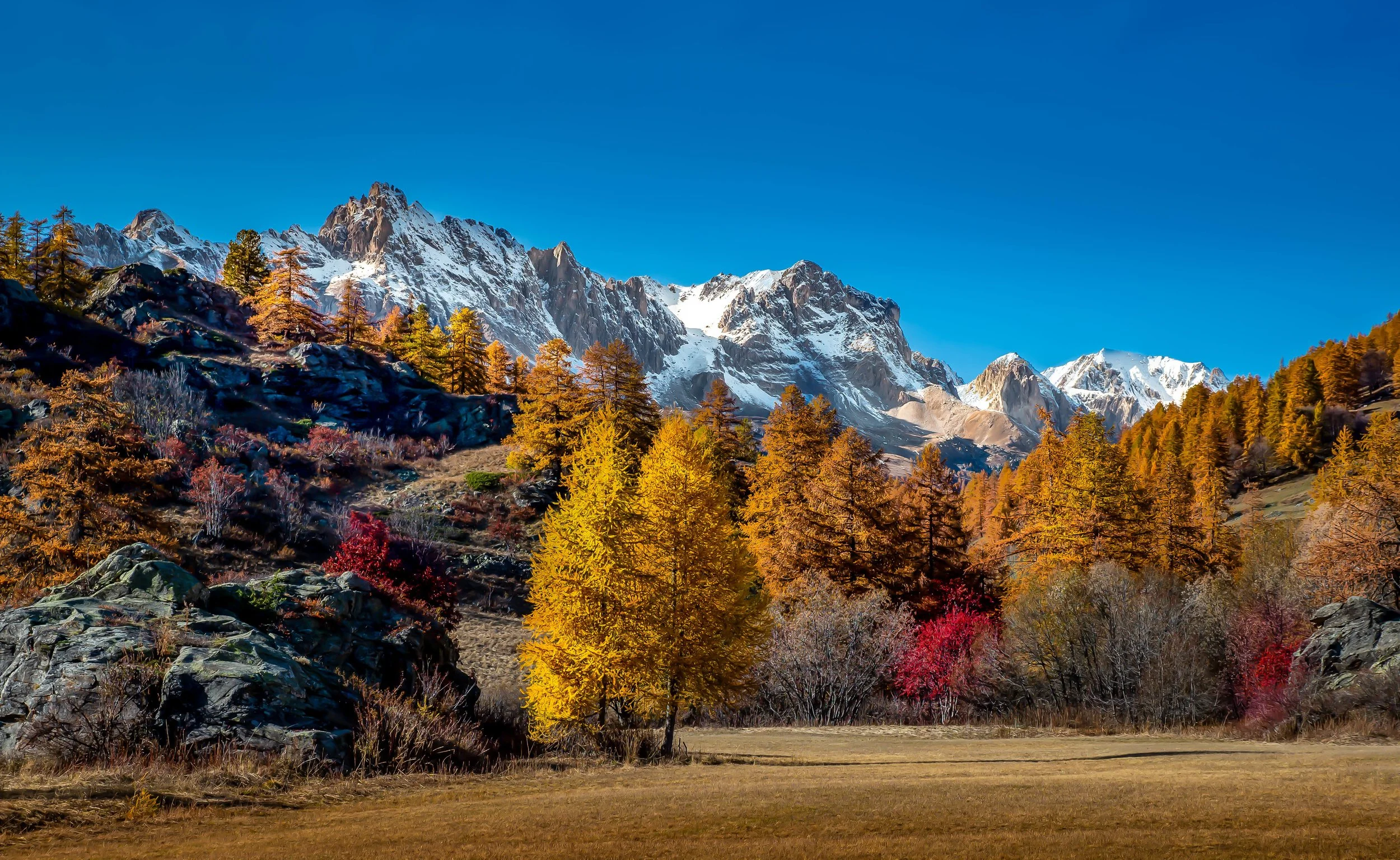 landscape-view-mountains-covered-snow-autumn-trees.jpg