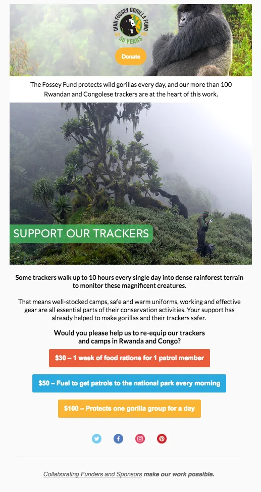 Sample email campaign