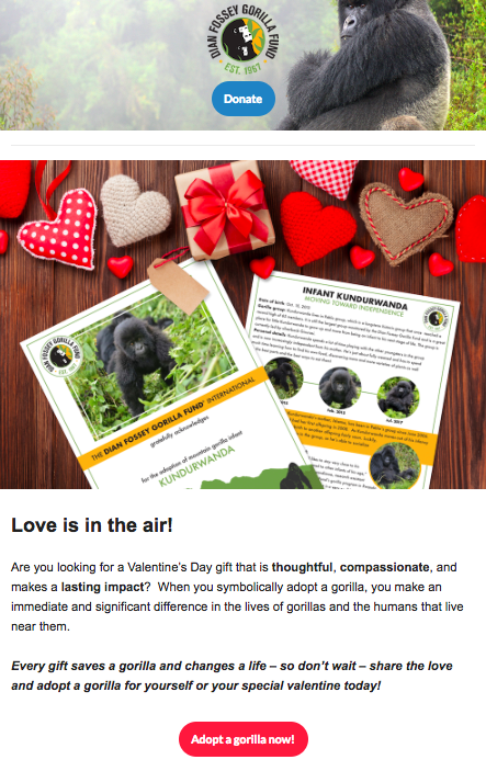 Screen Shot 2018-12-04 at 2.43.14 PM.png