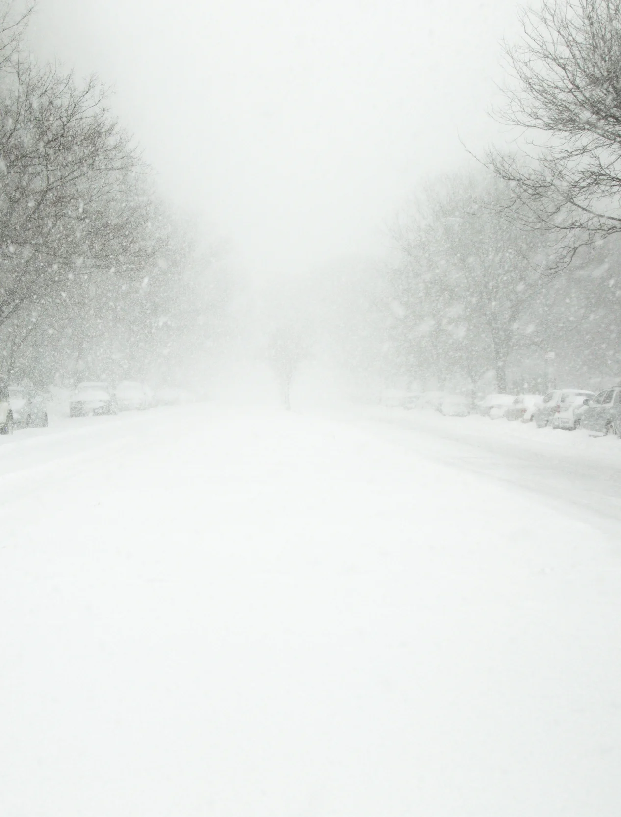 The New York City blizzard of 2016