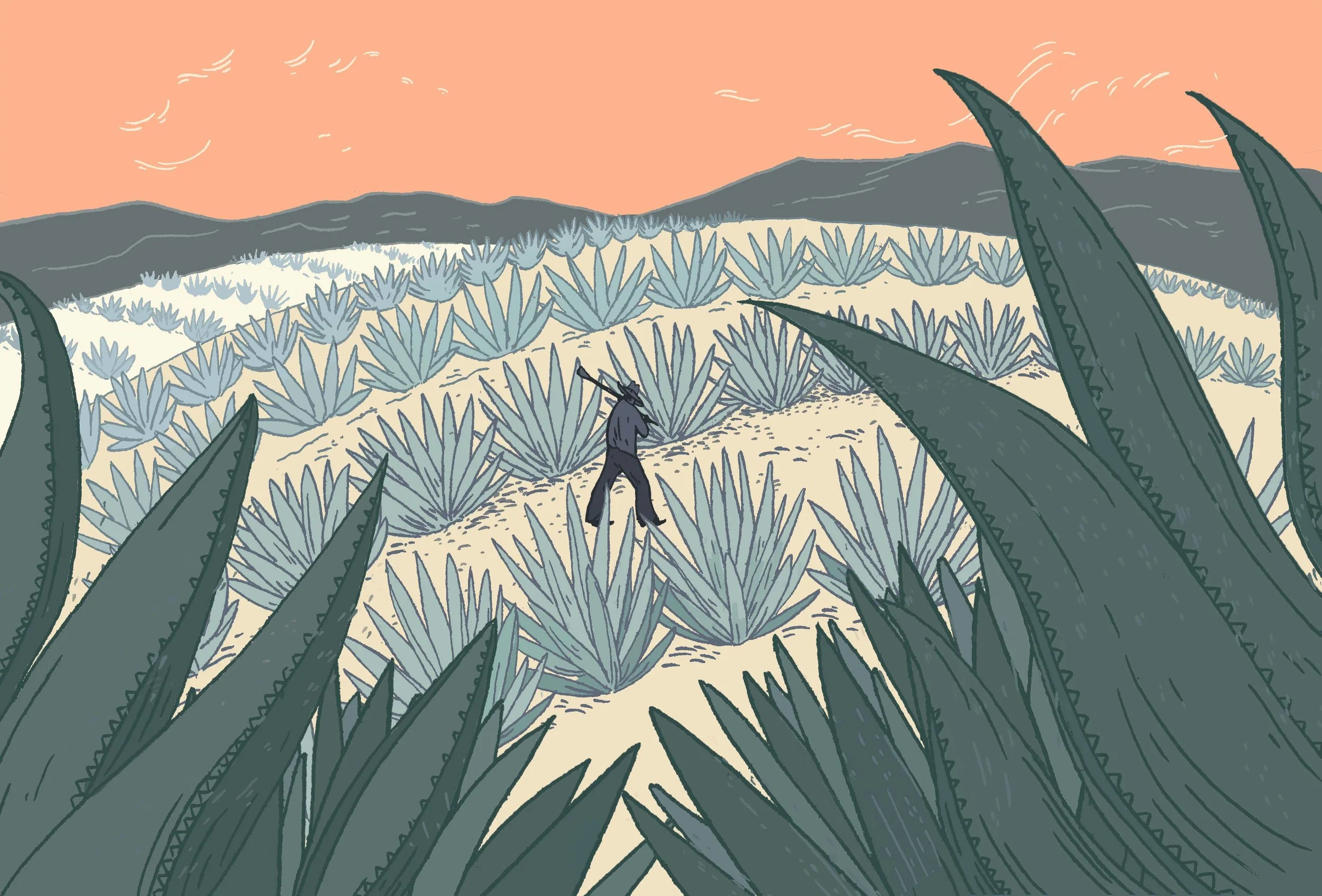 Agave Field Final.jpg