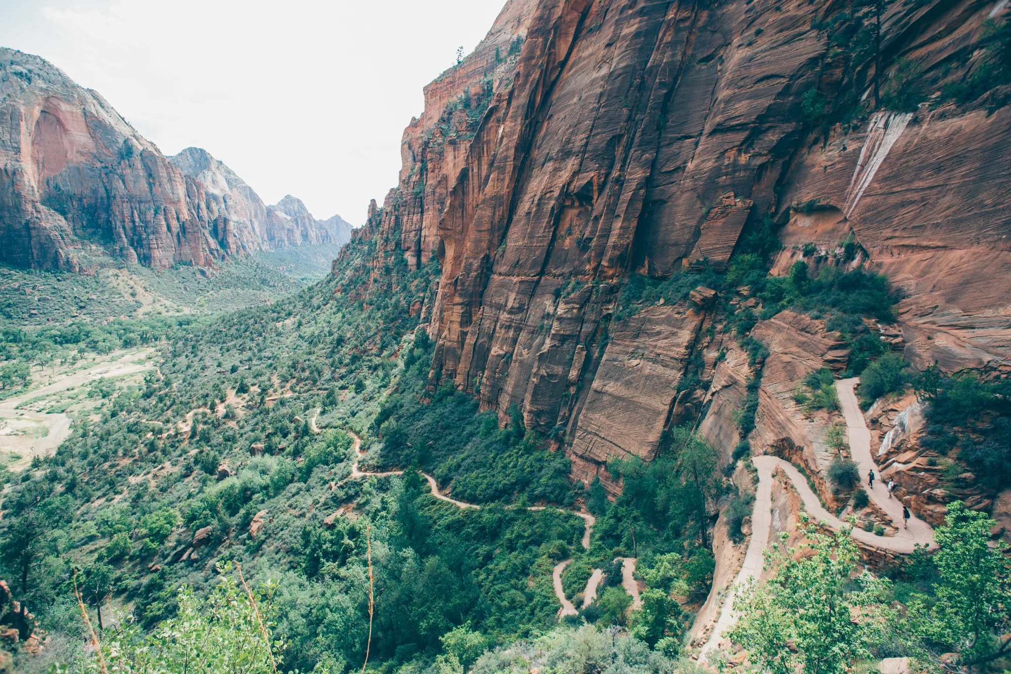 zion national park