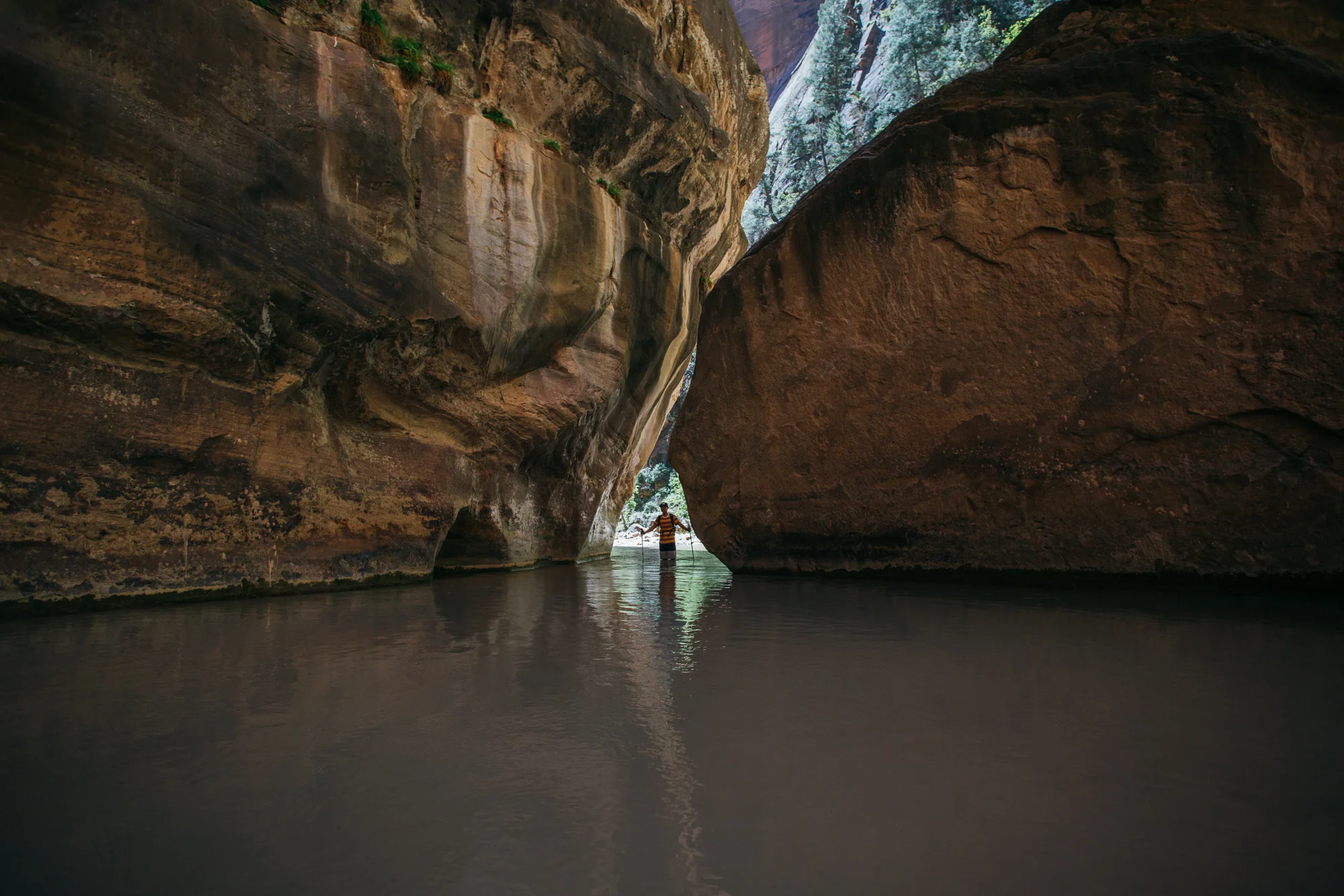 narrows, zion