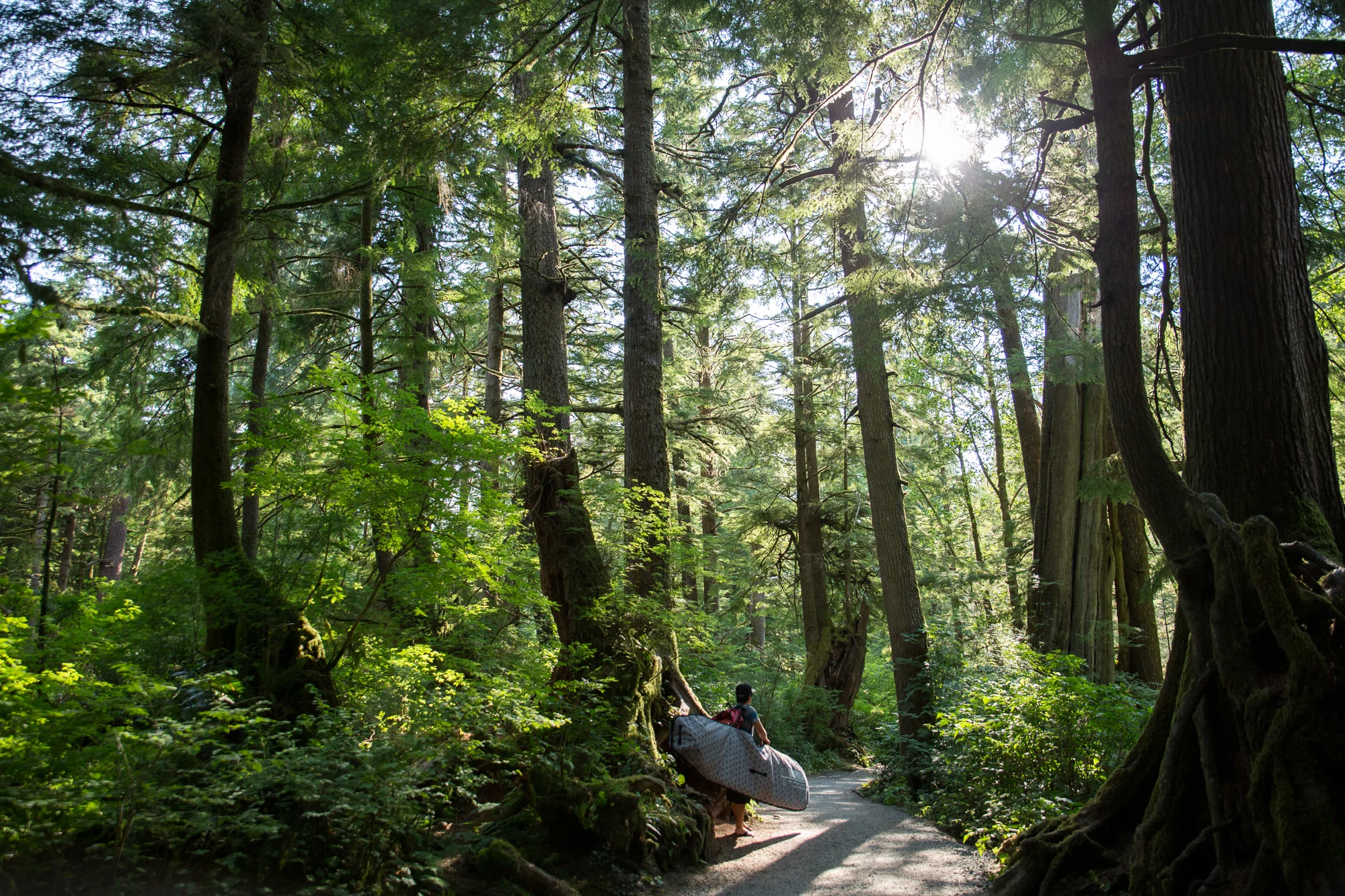 oregon coast