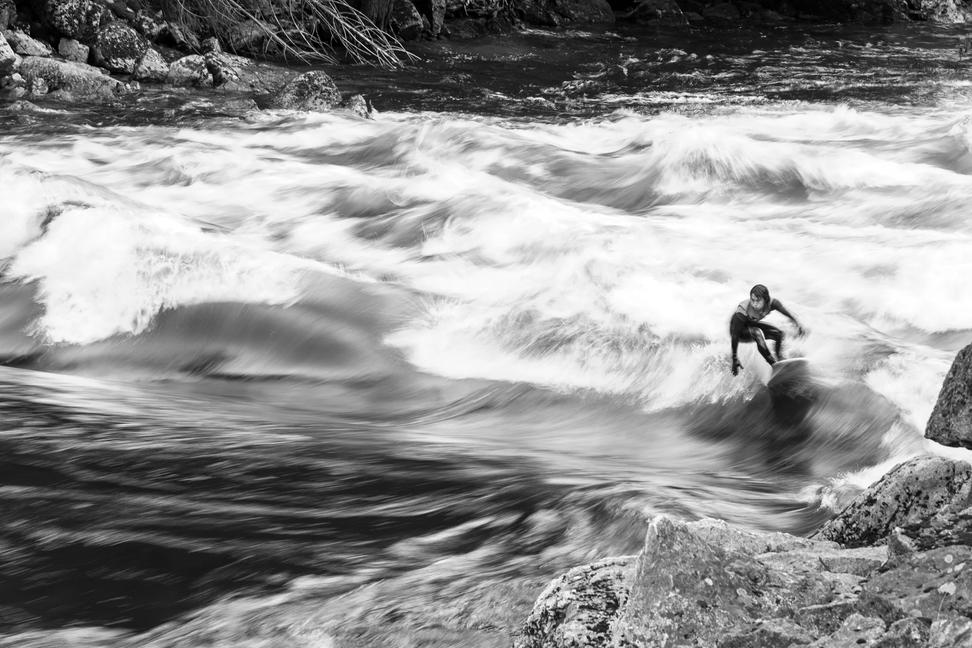 _MG_0727.jpg
