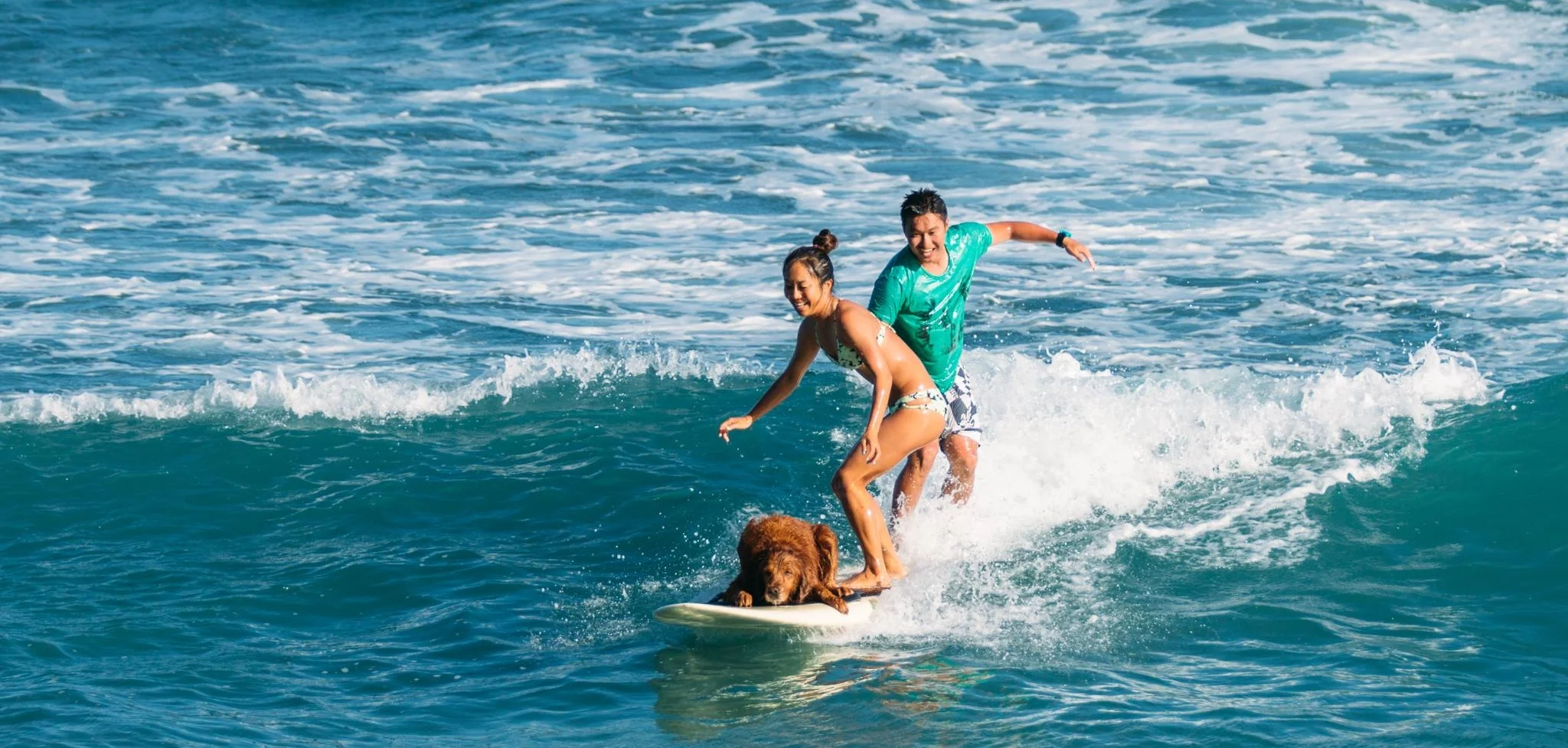 Aloha! I want to tell you a little about myself. I was born and raised in Kanagawa, Japan. I attended University of Hawaii where I graduated with a degree in a business marketing. There I spent my free time surfing, hiking, practicing yoga, and hanging out with family and friends. I always enjoyed photographing these moments and memories in life. Three years ago my husband was hired by National Weather Service office in Missoula, Montana and we moved from the ocean to the mountains. 2018 we moved back to Honolulu, Hawaii. In 2014, I decided to follow my passion of photographing lifestyle and portraits and that summer I graduated from the Rocky Mountain School of Photography. Through this program I improved my skills and gained valuable experience. People often forget about the simple lifestyle we enjoy, but photography can help celebrate and remember the important moments. Life is an adventure with many discoveries unique to each individual. My goal is to capture these special moments for my clients by documenting the joys, tears, excitement, and tell to those stories through my camera. I am flexible and always open to new ideas and would love to help you tell your stories, so please feel free to contact me! 喜納貴子 フォトグラファー 人の記憶は儚いもの 写真はその瞬間を記憶し、情景を写し残します 人生は冒険、発見の連続 その大切な瞬間をあなたに届けたい 神奈川県生まれ ハワイ大学ビジネスマーケティング 卒業 ロッキーマウンテンスクールオブフォトグラフィー 卒業 ハワイオアフ島 在住