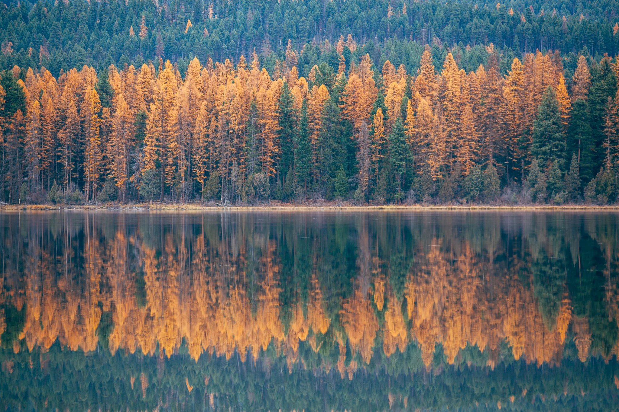seeley lake