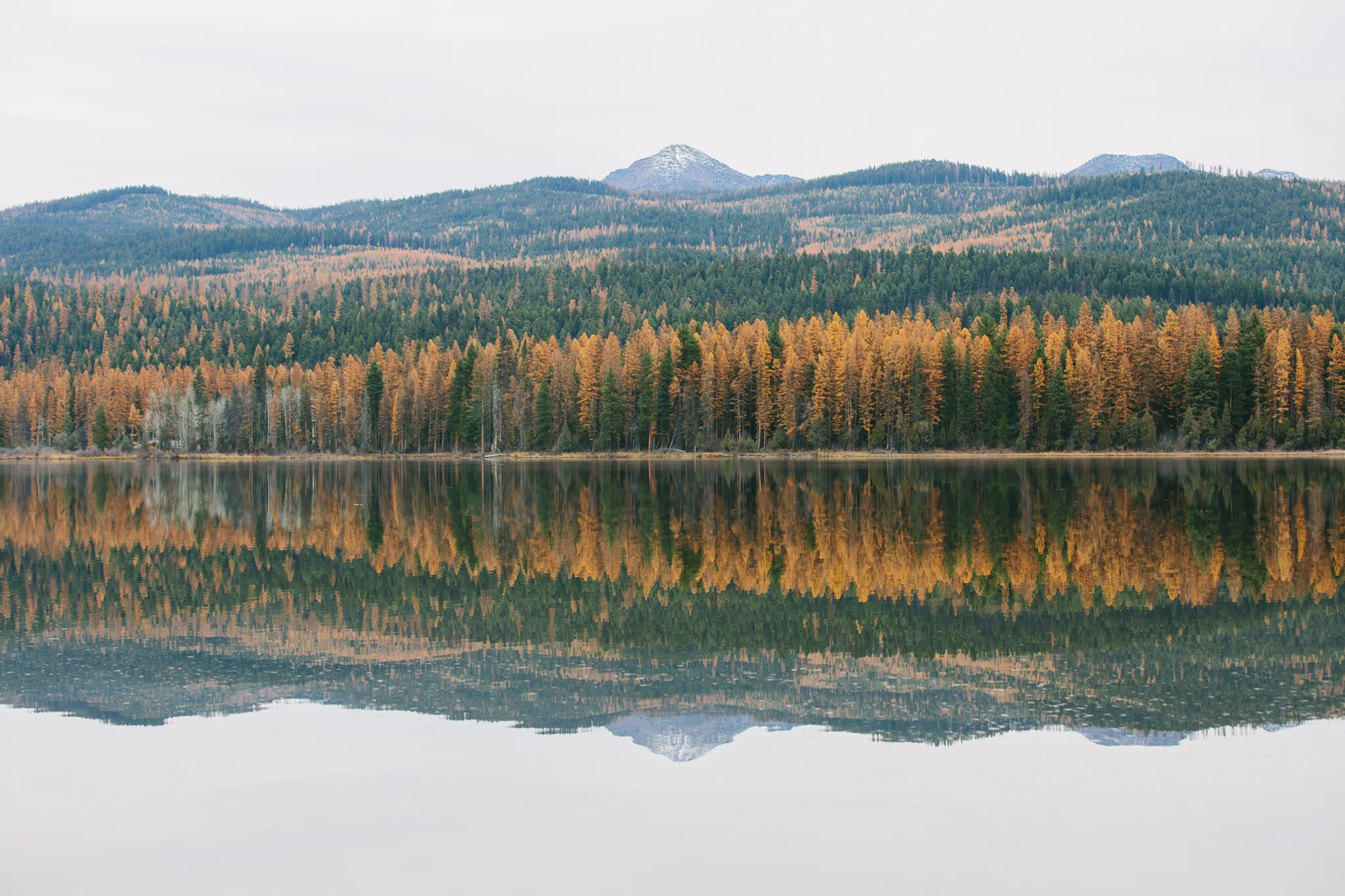seeley lake