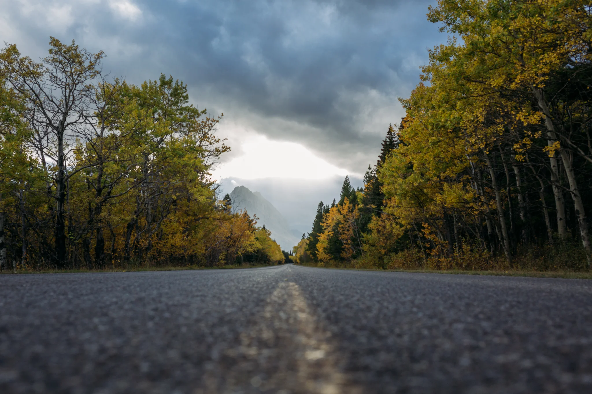 road to many glacier, glacier national park