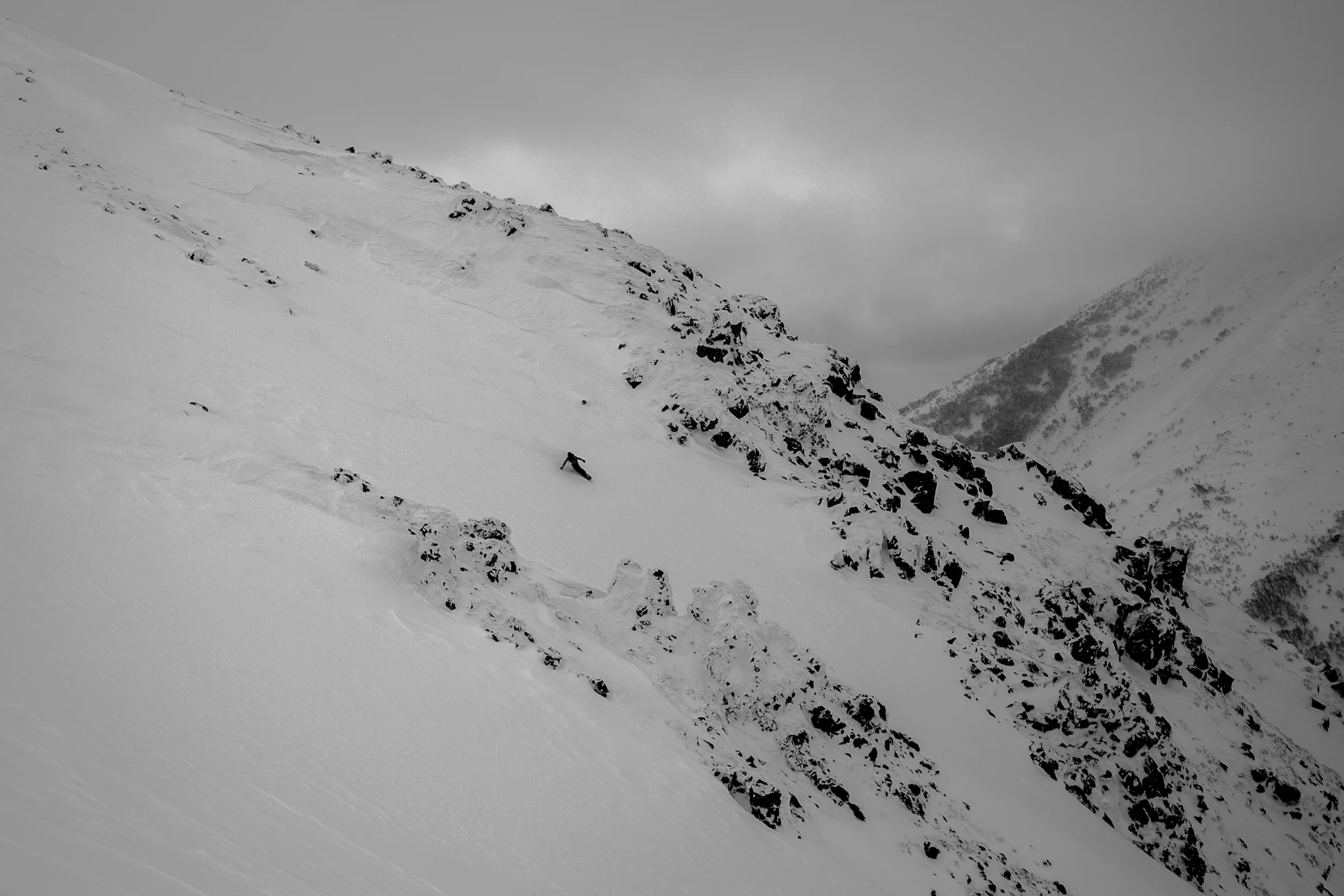 _K025283.jpg