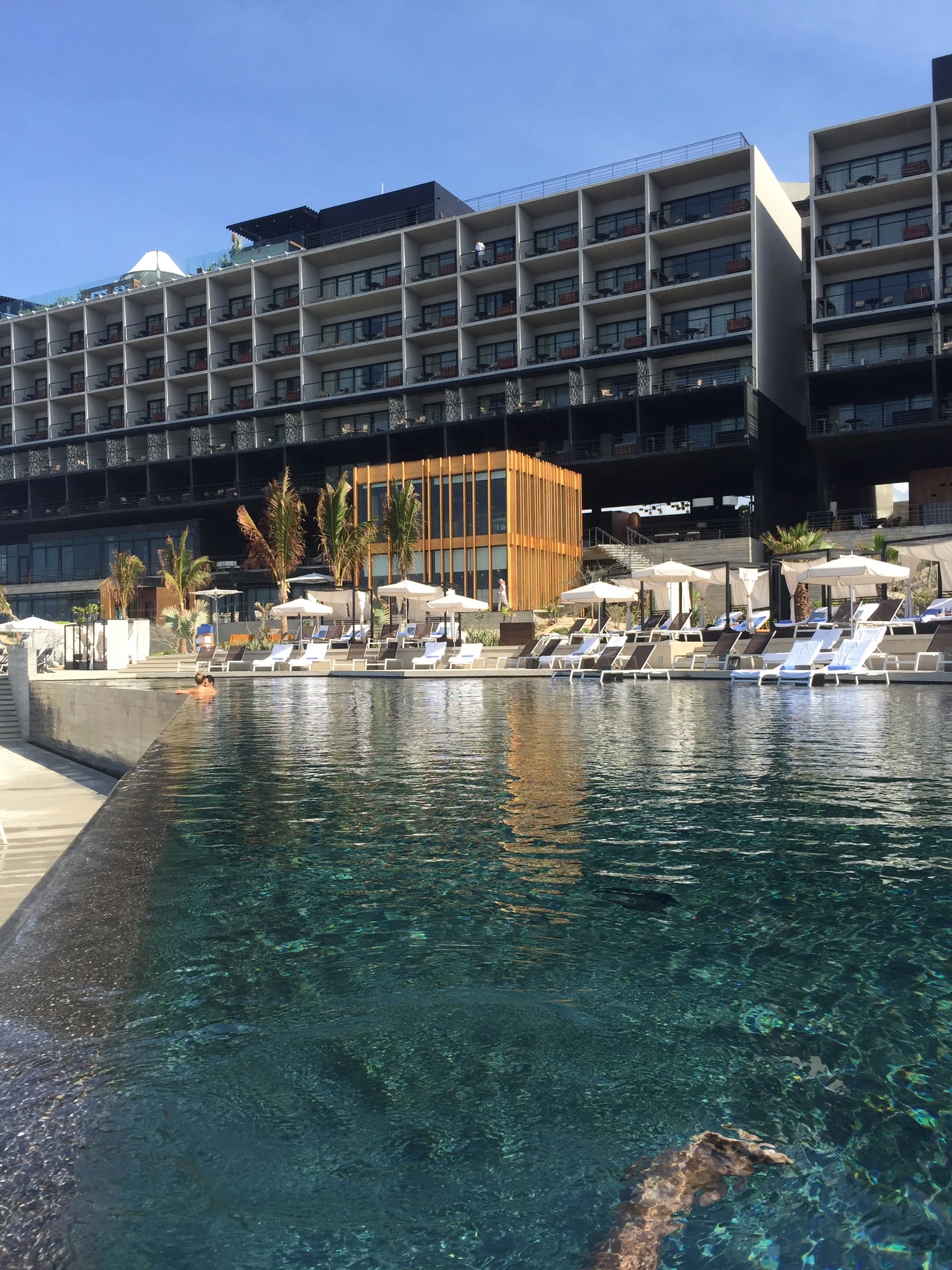 The Cape, a Thompson Hotel in Cabo San Lucas