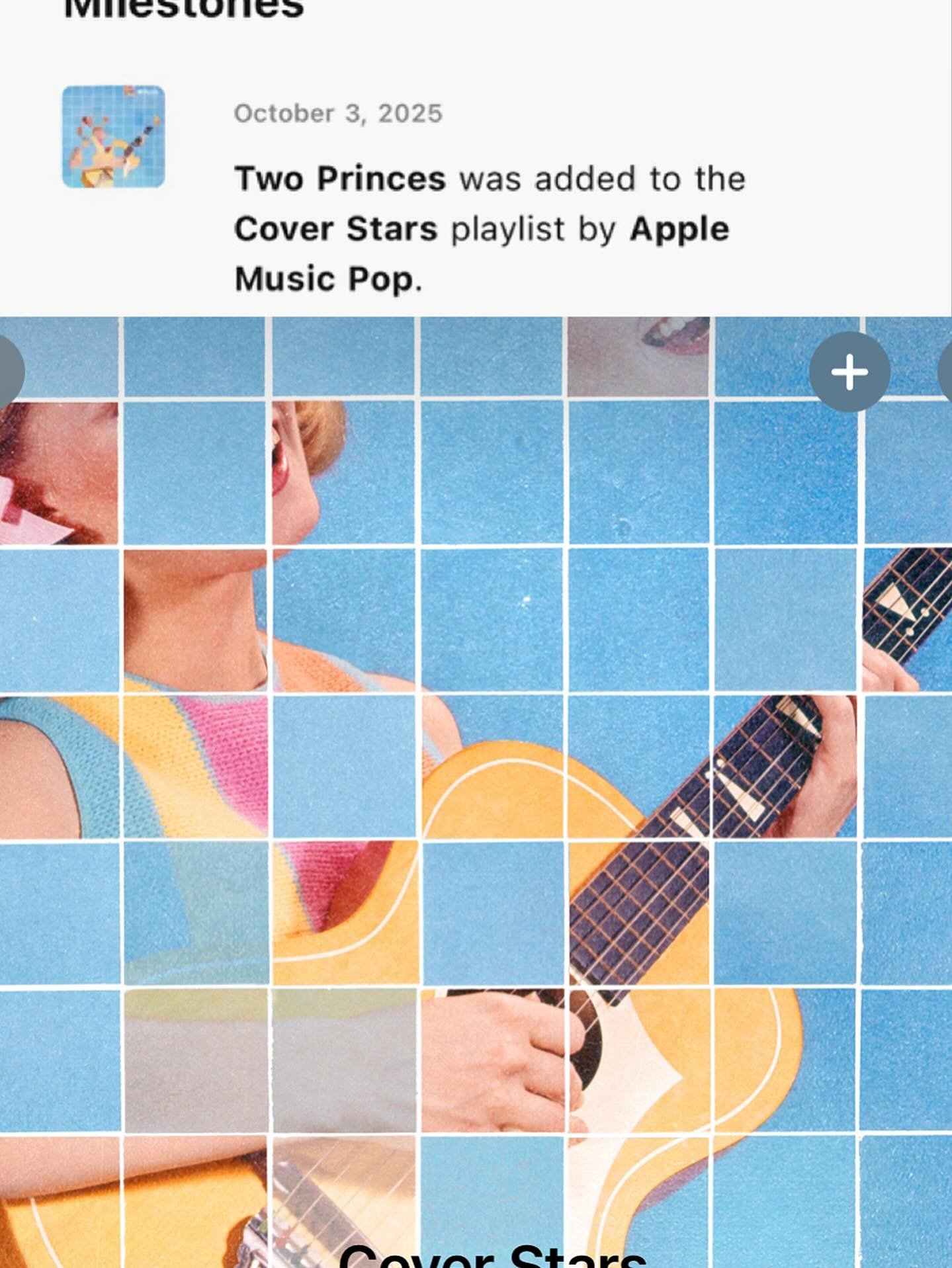 Apple Music just added Two Princes to their Cover Stars playlist! Thanks @symphonicdistro for making that happen!