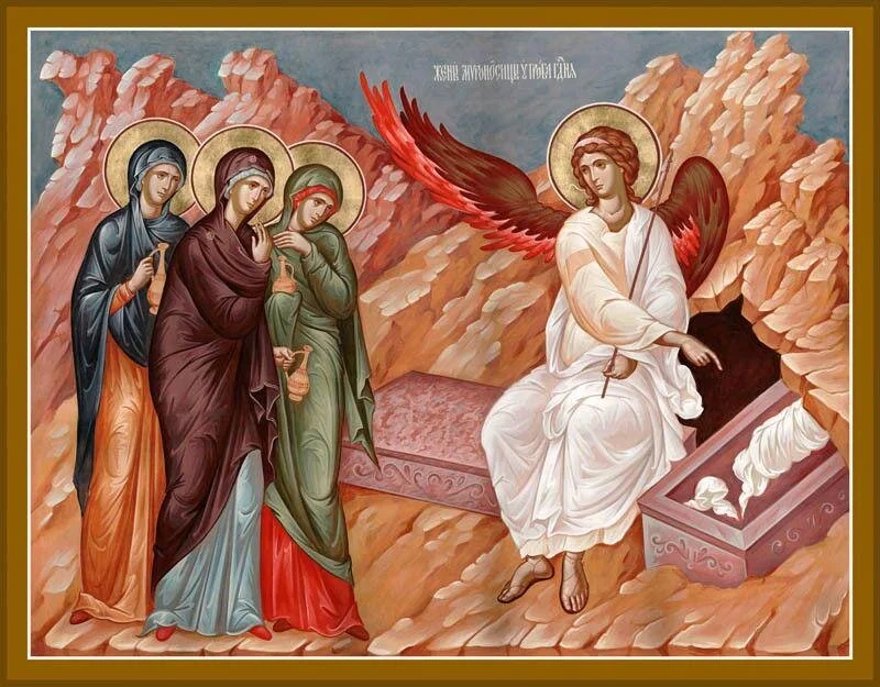 Seek!  Participate!  Encounter!