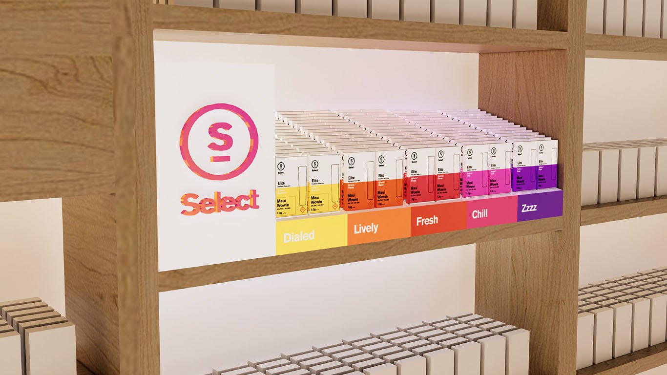 Shelf fixture concept within non-owned store setting