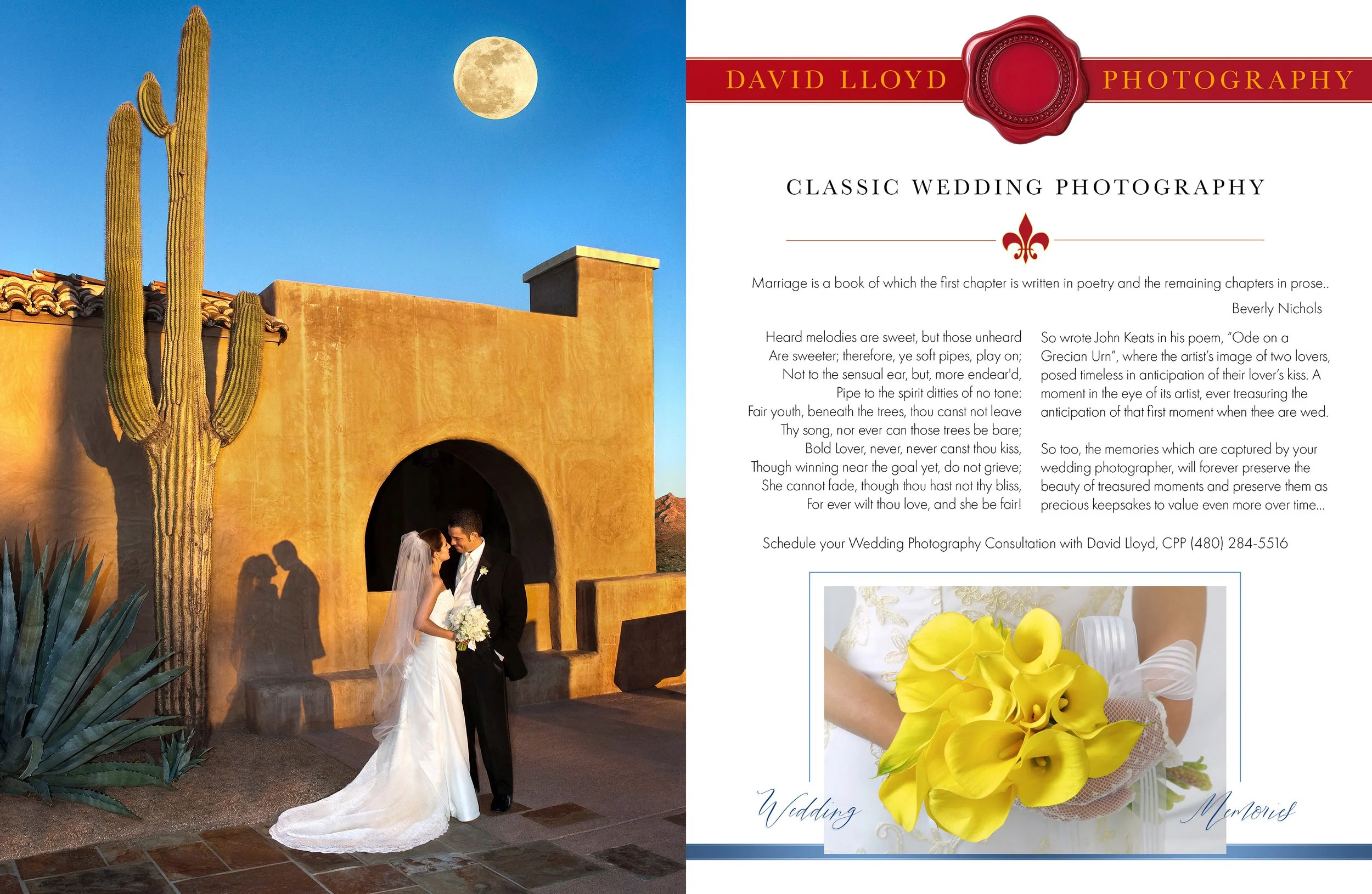 David Lloyd intimate wedding photography