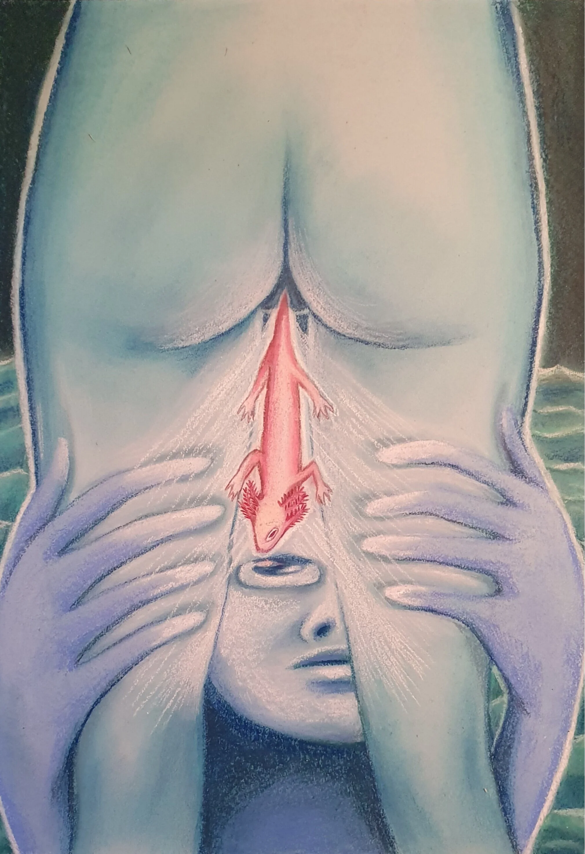 The eyes below
