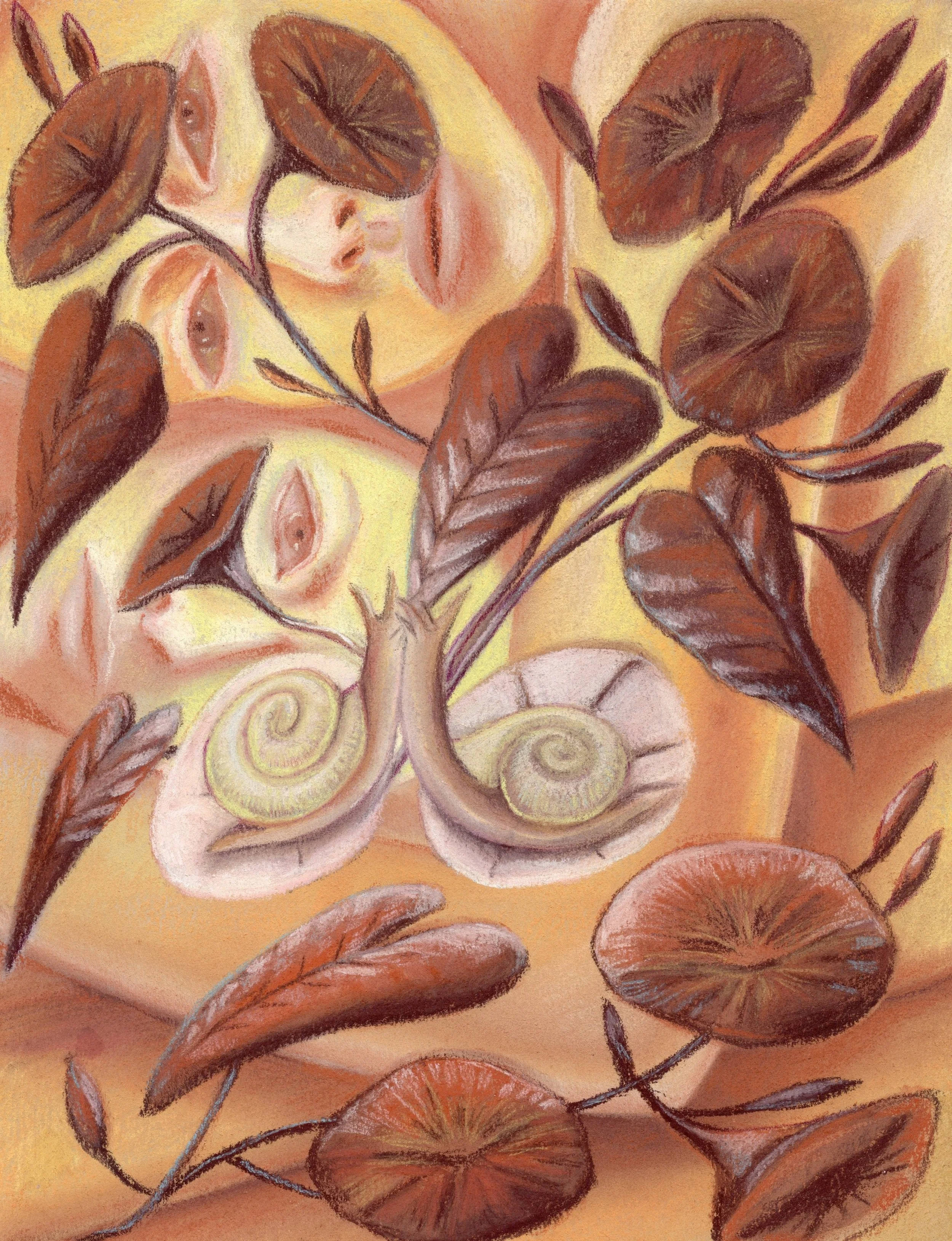 Seed