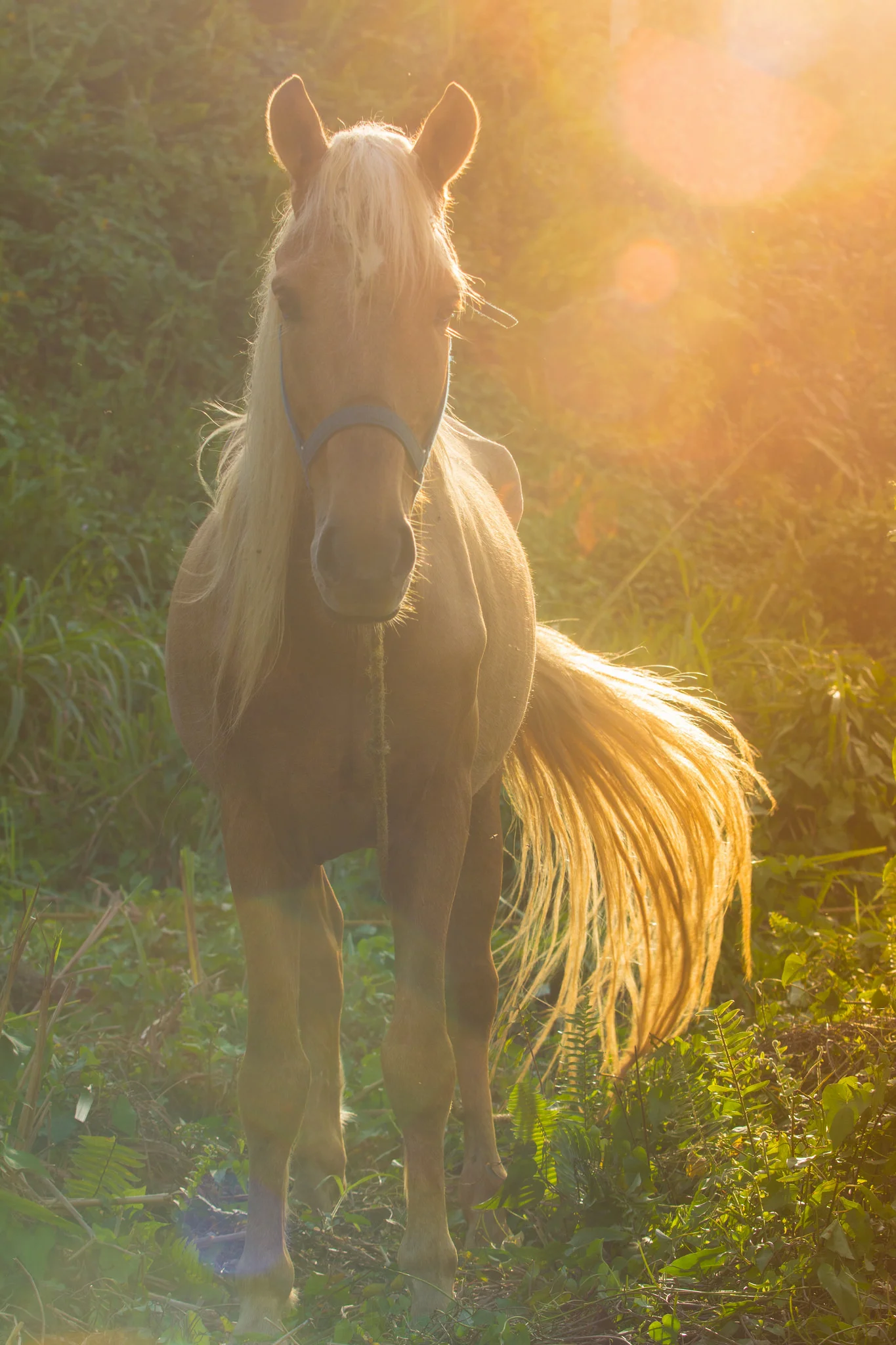 Puerto Rico {Part I}