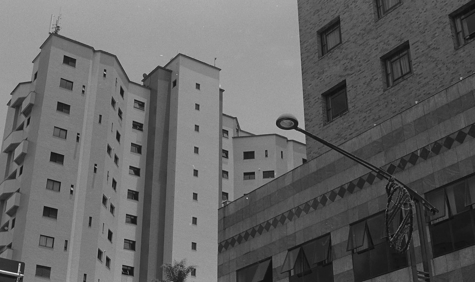n068.jpg