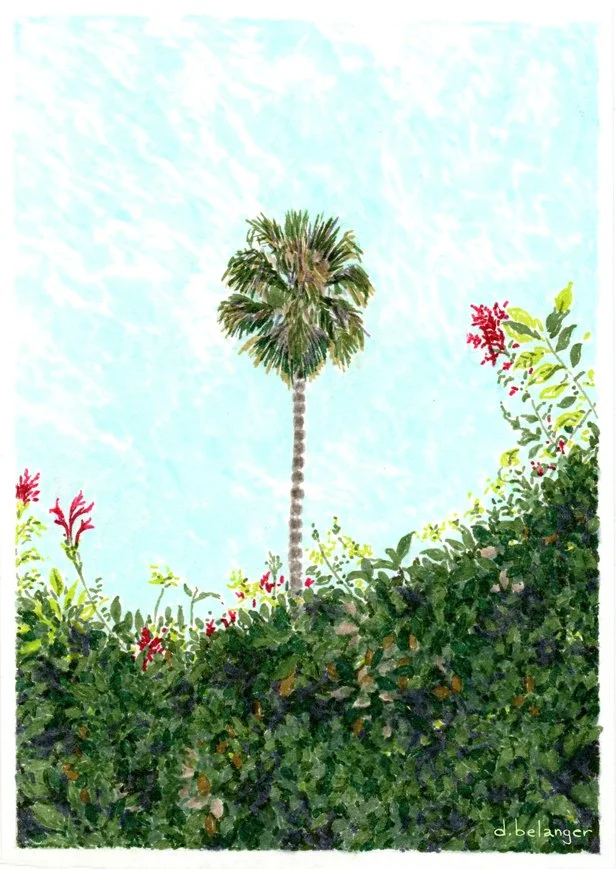 San Carlos, CA