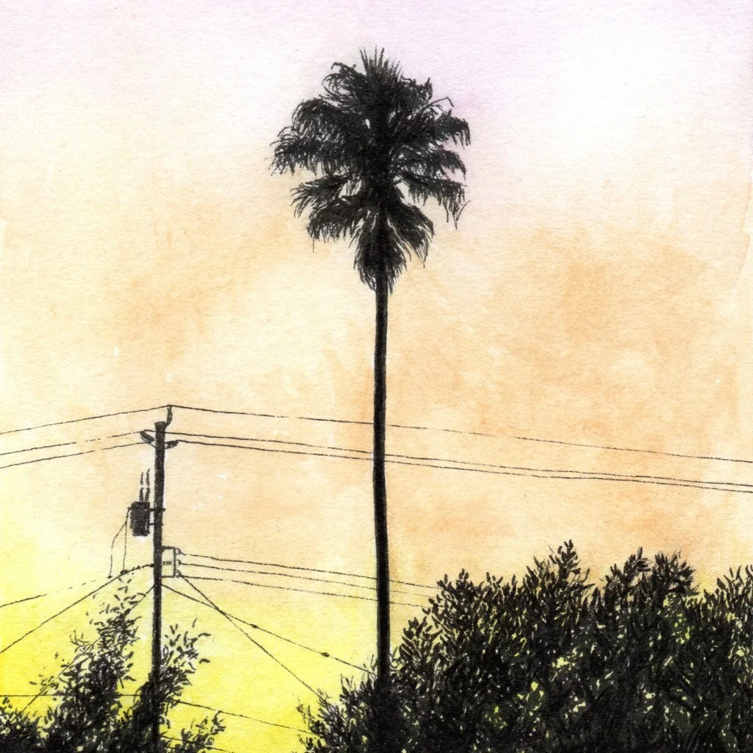 Palm-Tree-Thumbnail-1080x1080.jpg