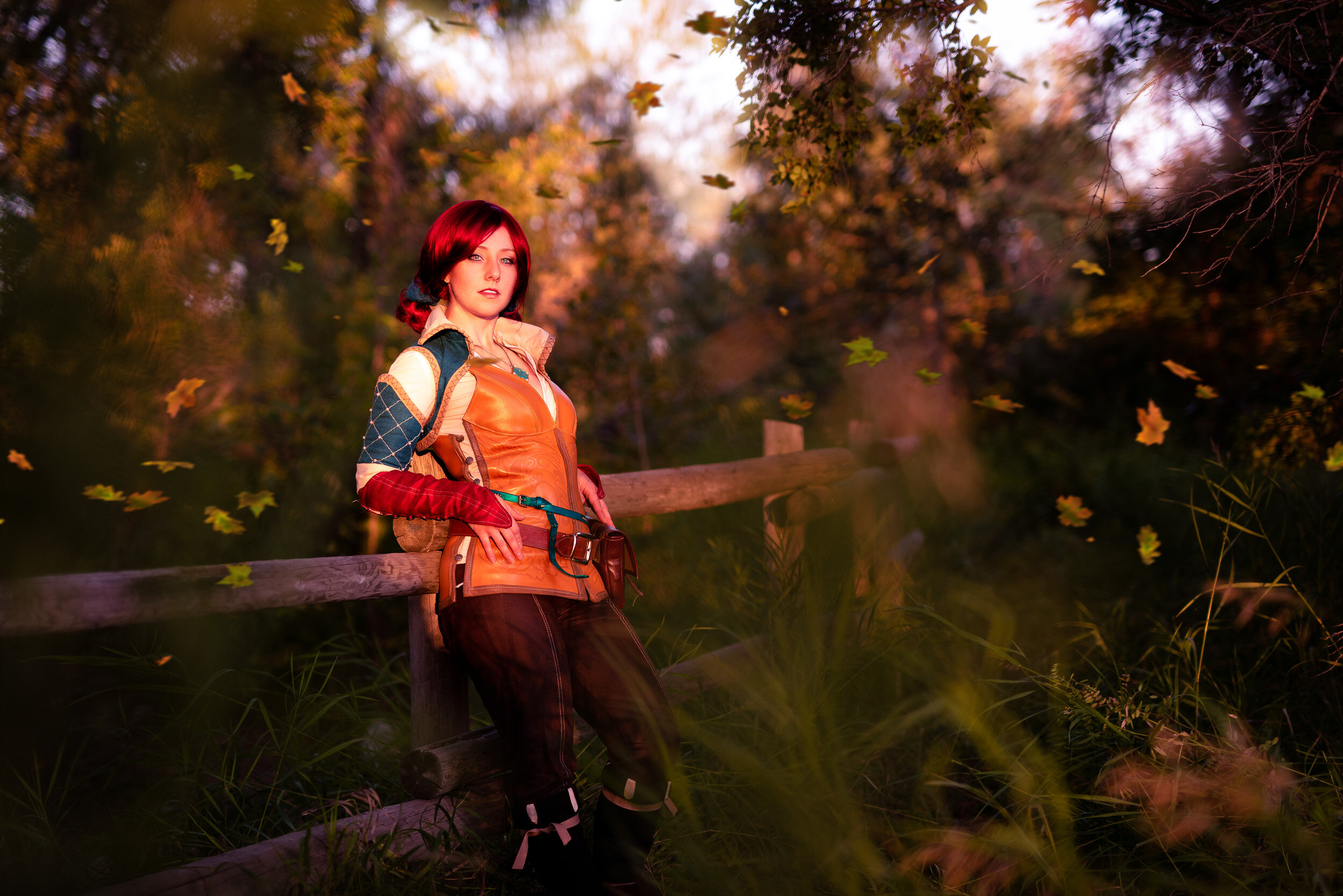 ahnp_witcher_website-003.jpg