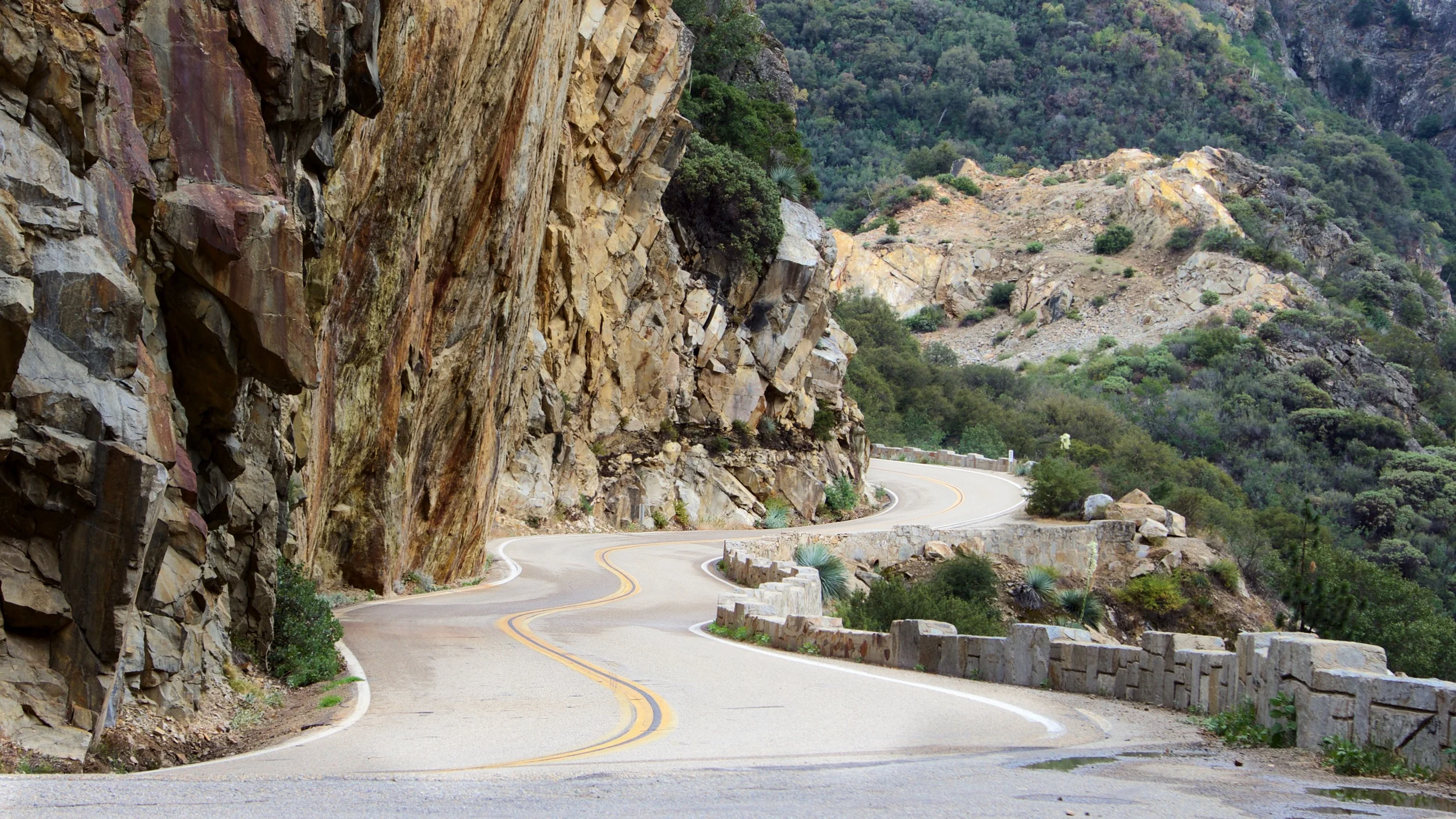 Sequoia Camping Trip 2015 4587.jpg