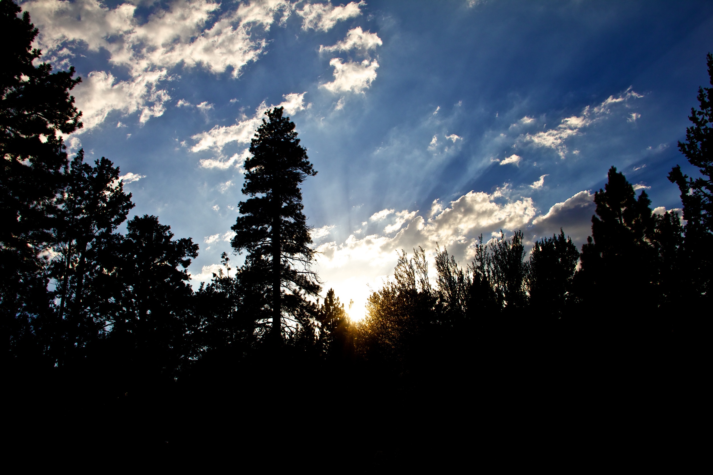 Camping in Big Bear Summer 2012 1229.jpg