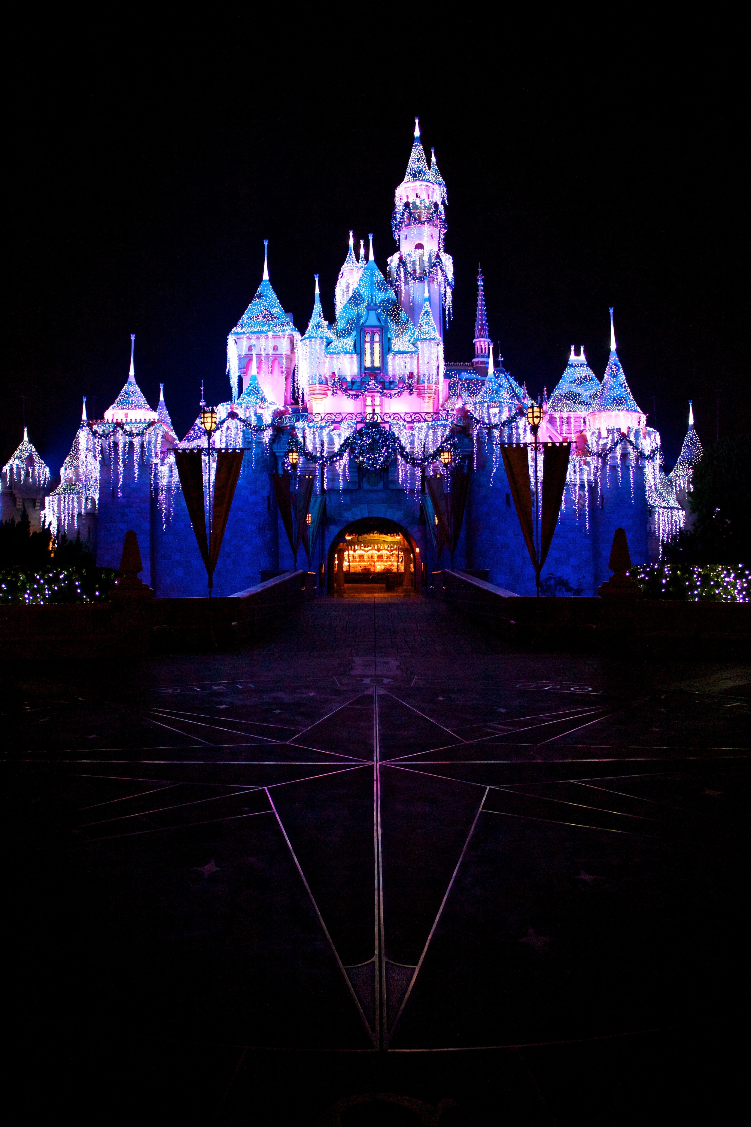 Disneyland New Years Day 2012 4559.jpg