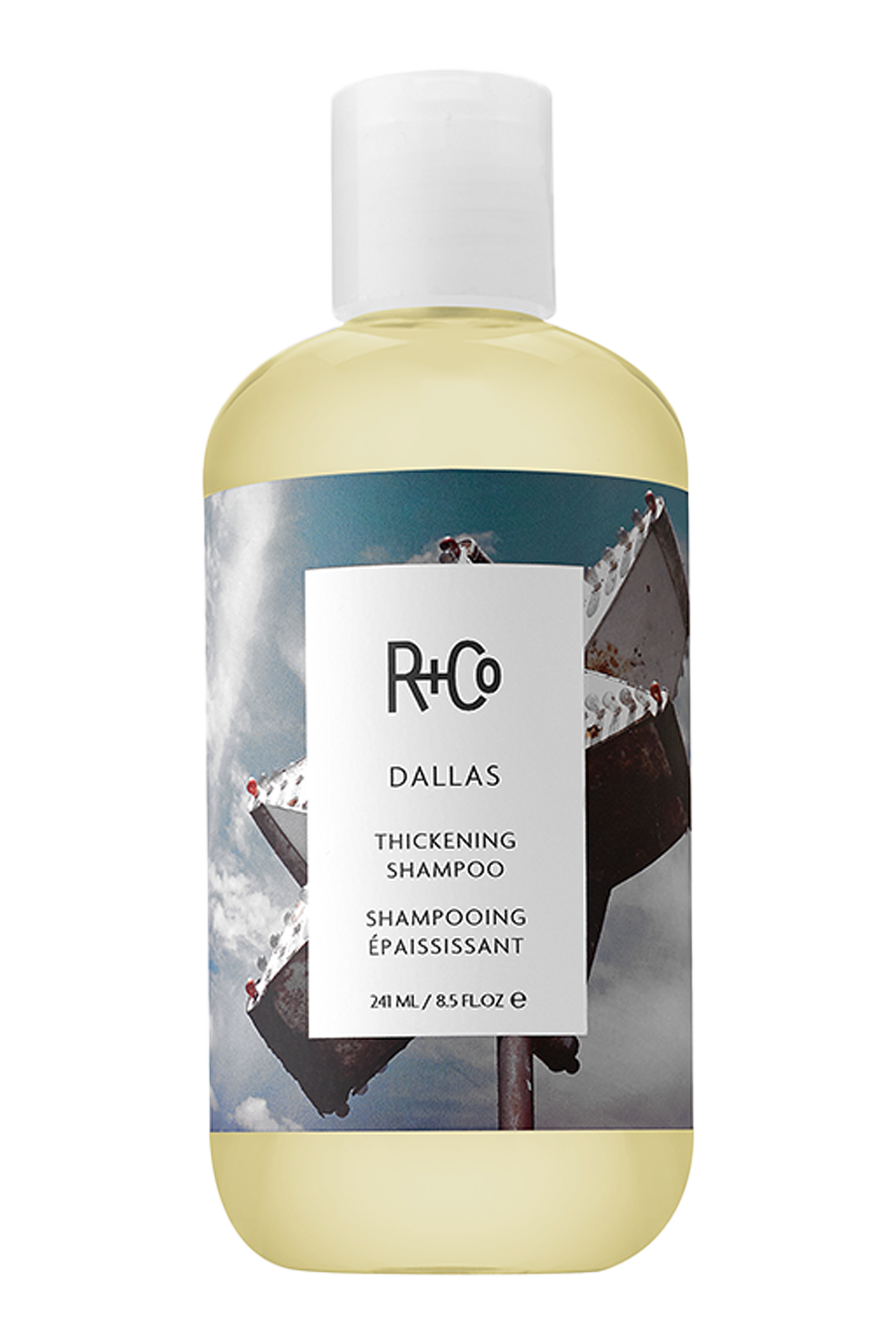 dallas shamp.png