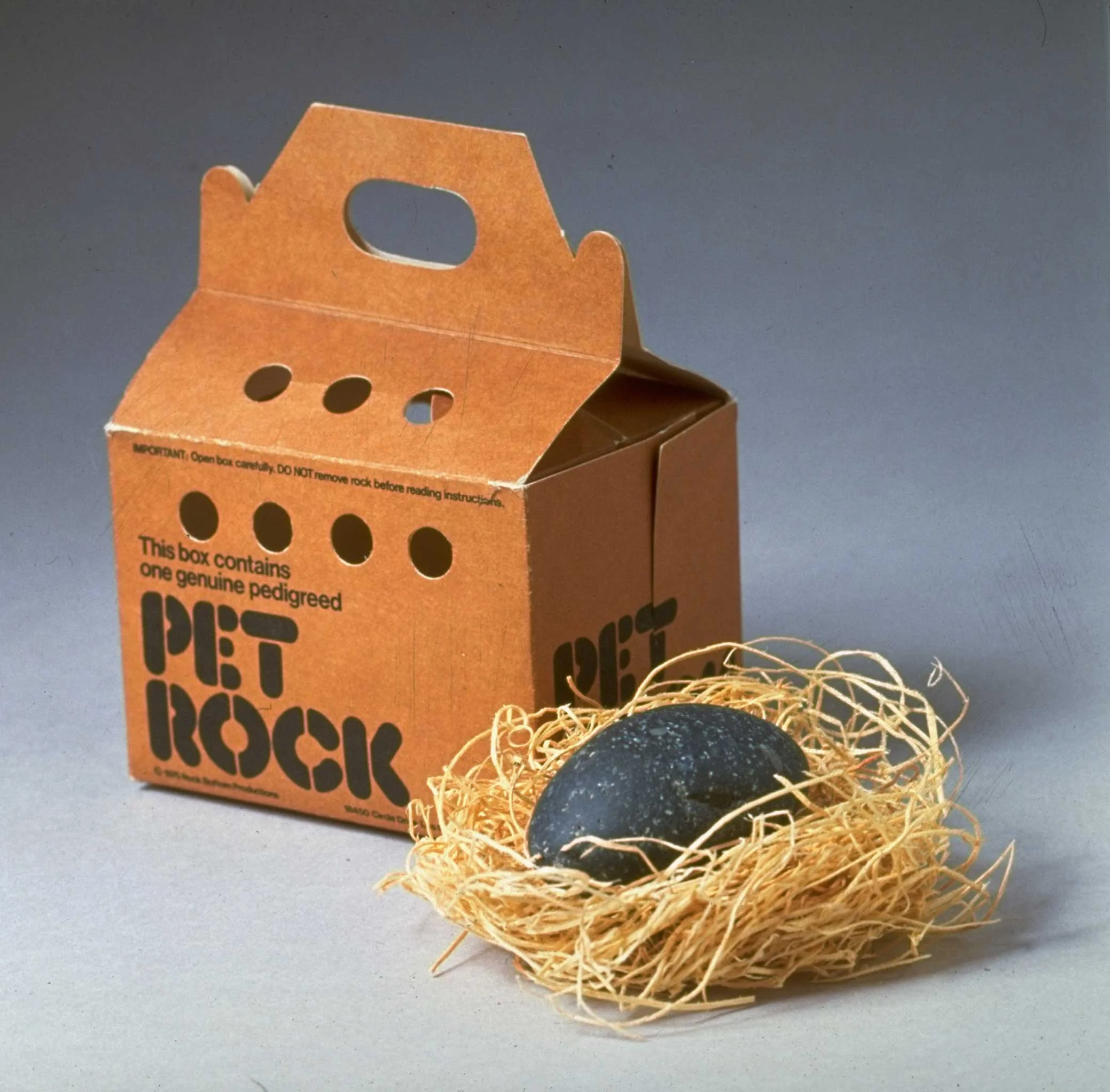 pet-rock.jpg