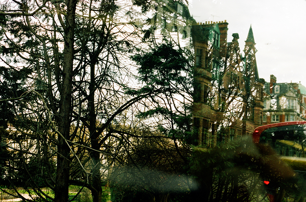 Windows to London- Lost on trees.jpg