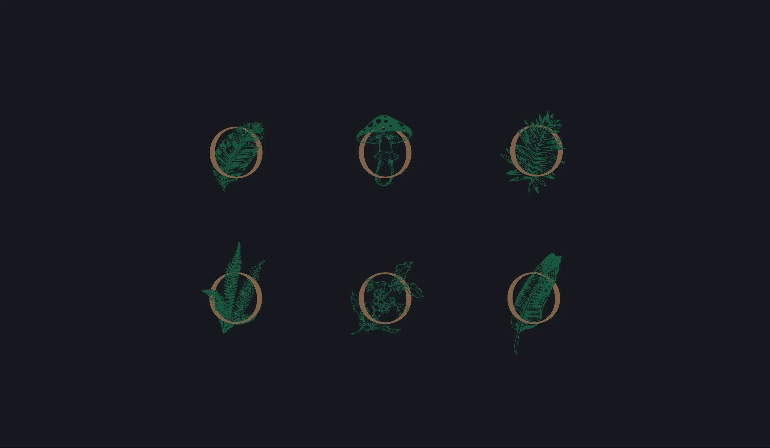 Florae-RI-V1-16.jpg