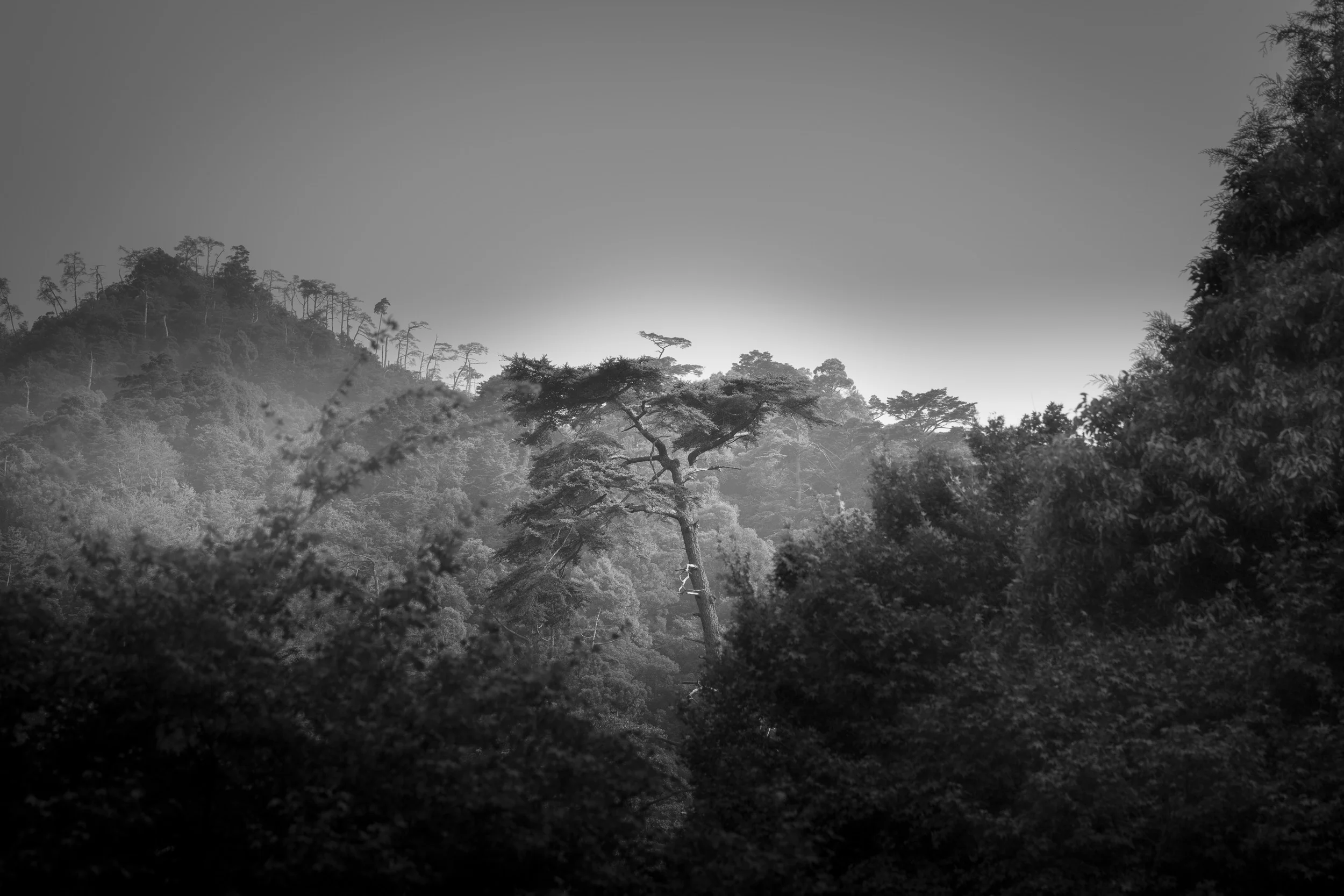 Miyajima