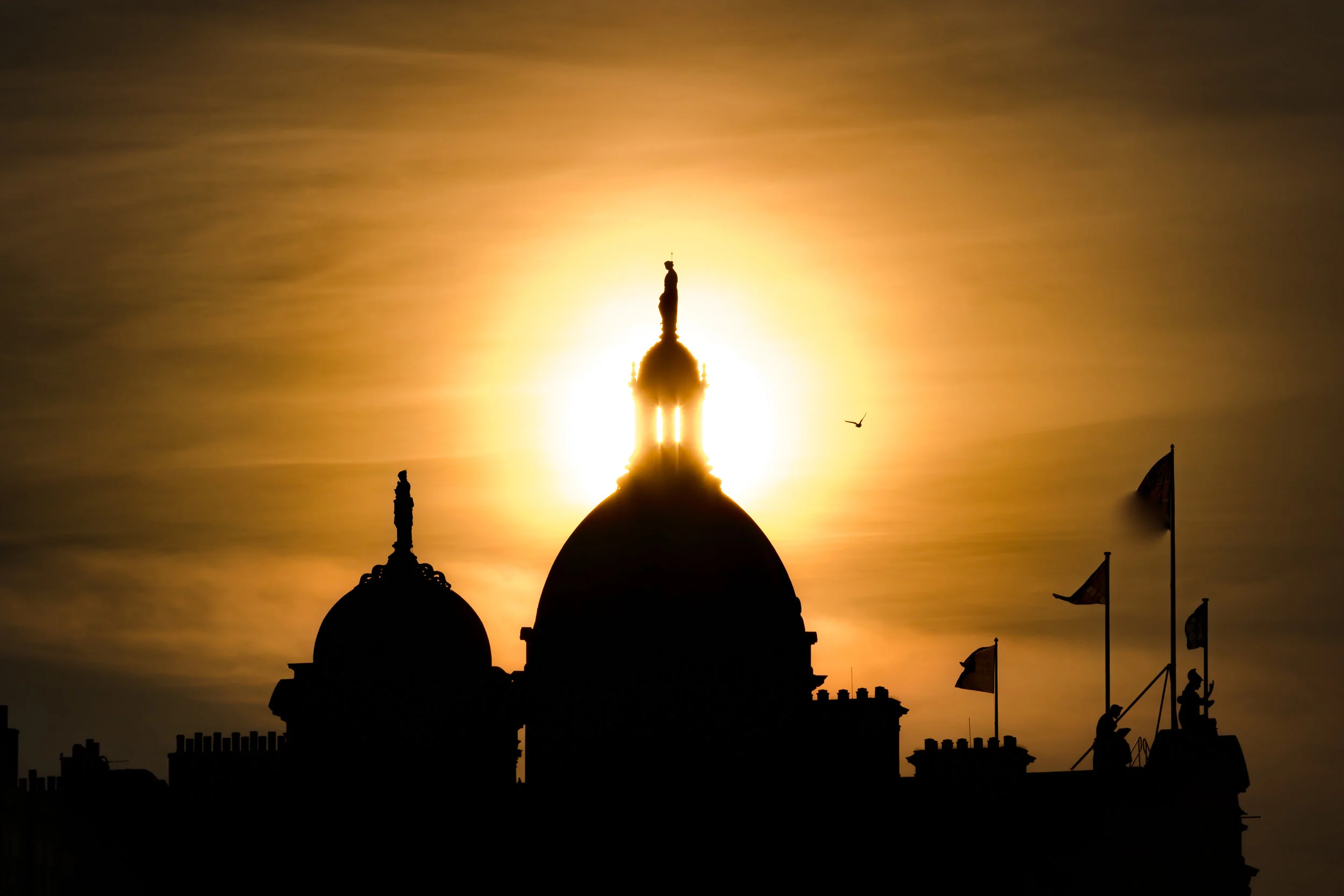 20190227-EDIN_2019-02-27_R-316A0400_Luminar3-edit.jpg