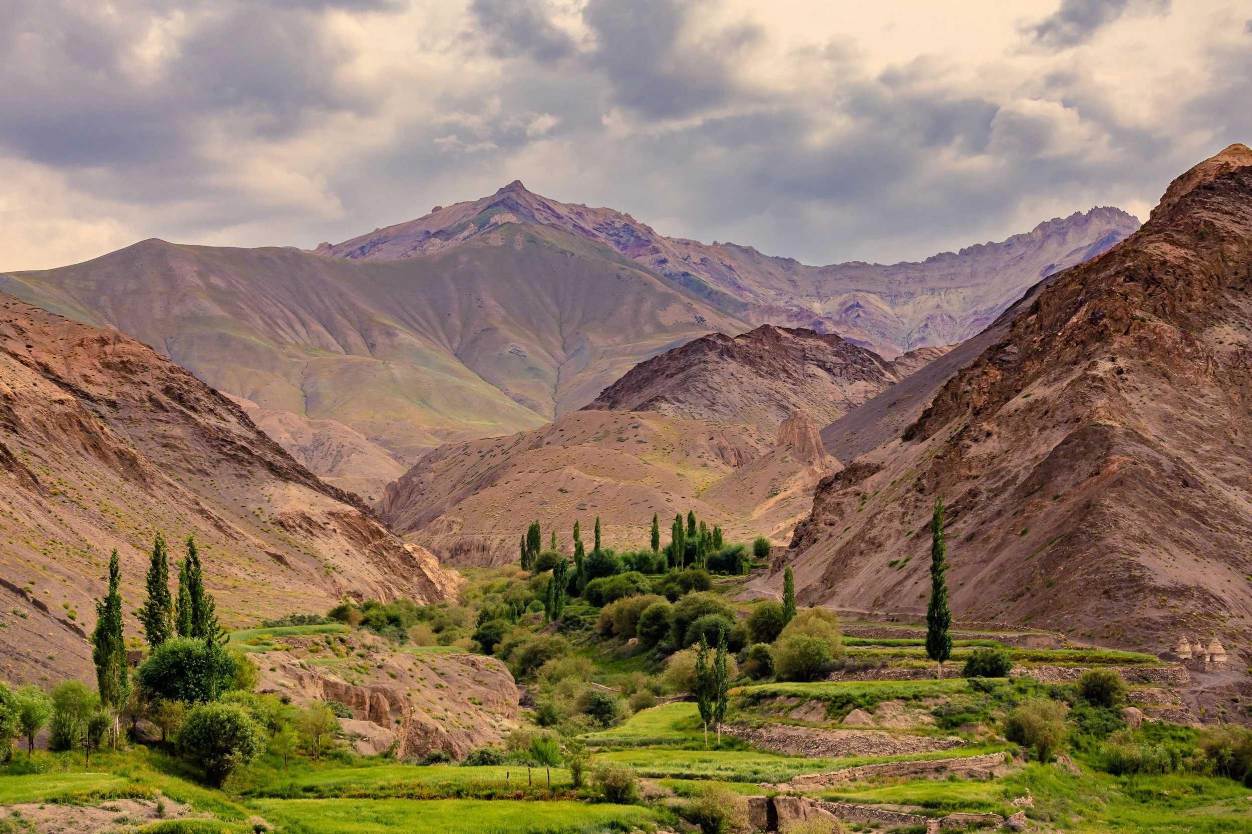 Srinagar + Leh-IMG_4235.jpg