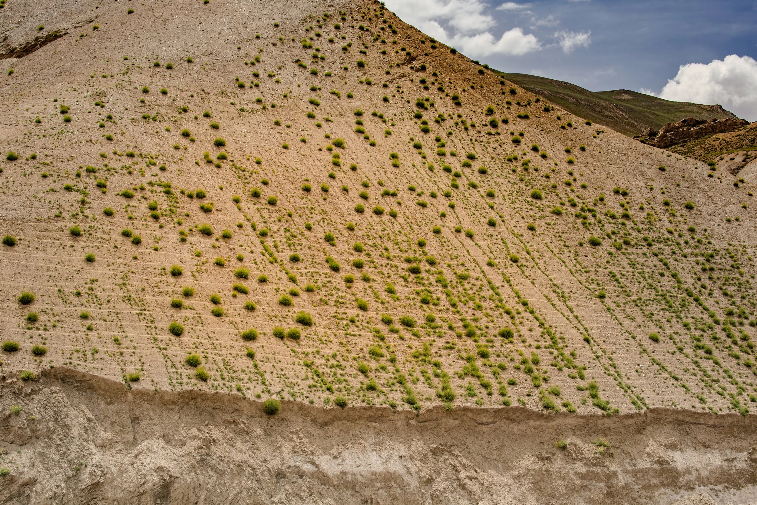 Srinagar + Leh-IMG_3952.jpg
