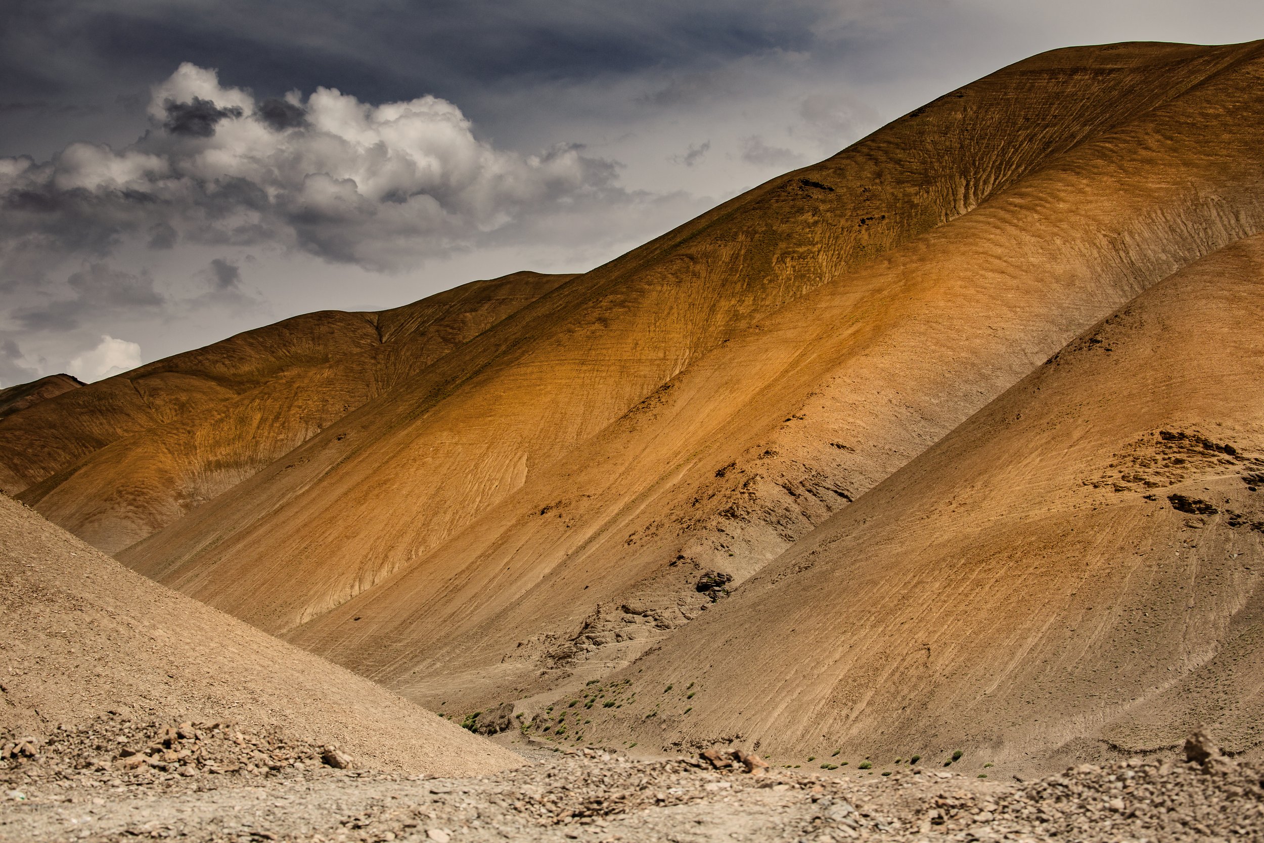 Srinagar + Leh-IMG_3924.jpg