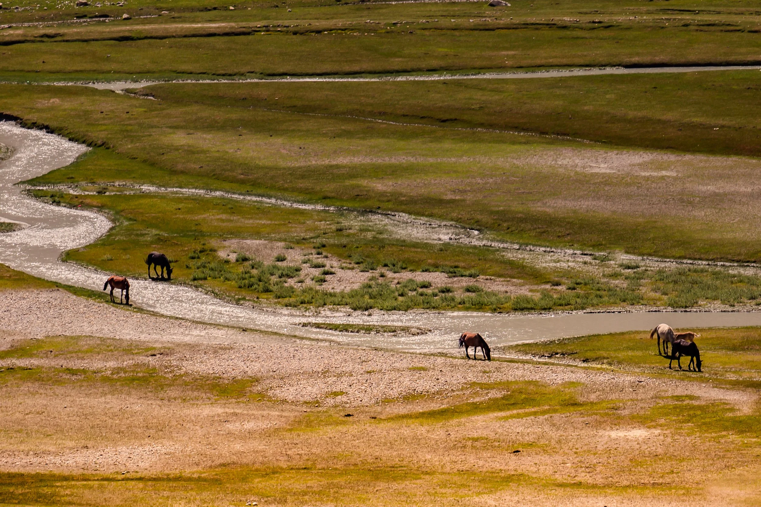 Srinagar + Leh-IMG_3775.jpg