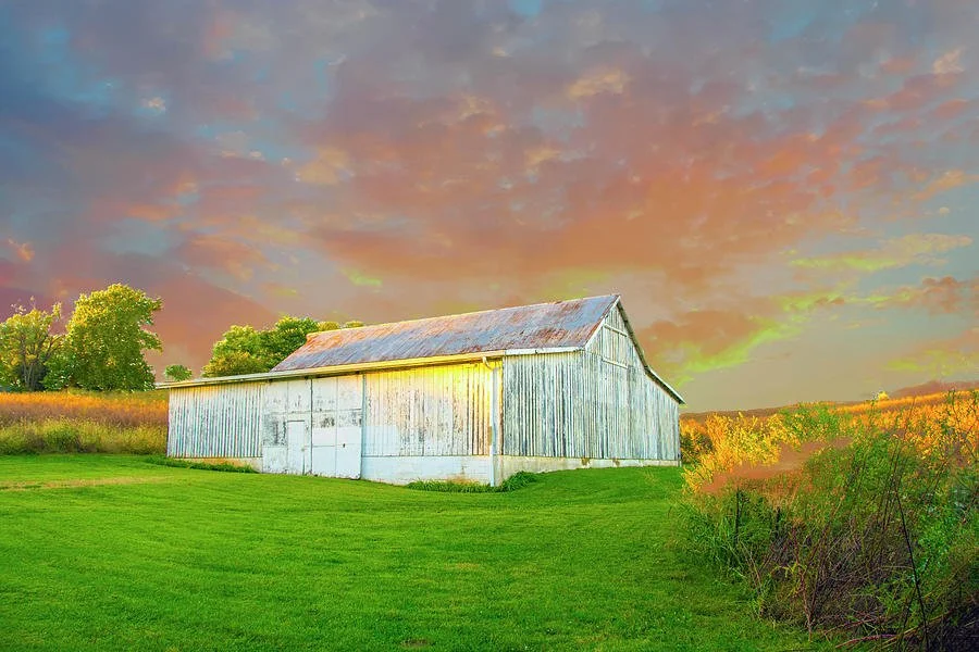 barn-white-barn-western-iowa-william-reagan.jpg