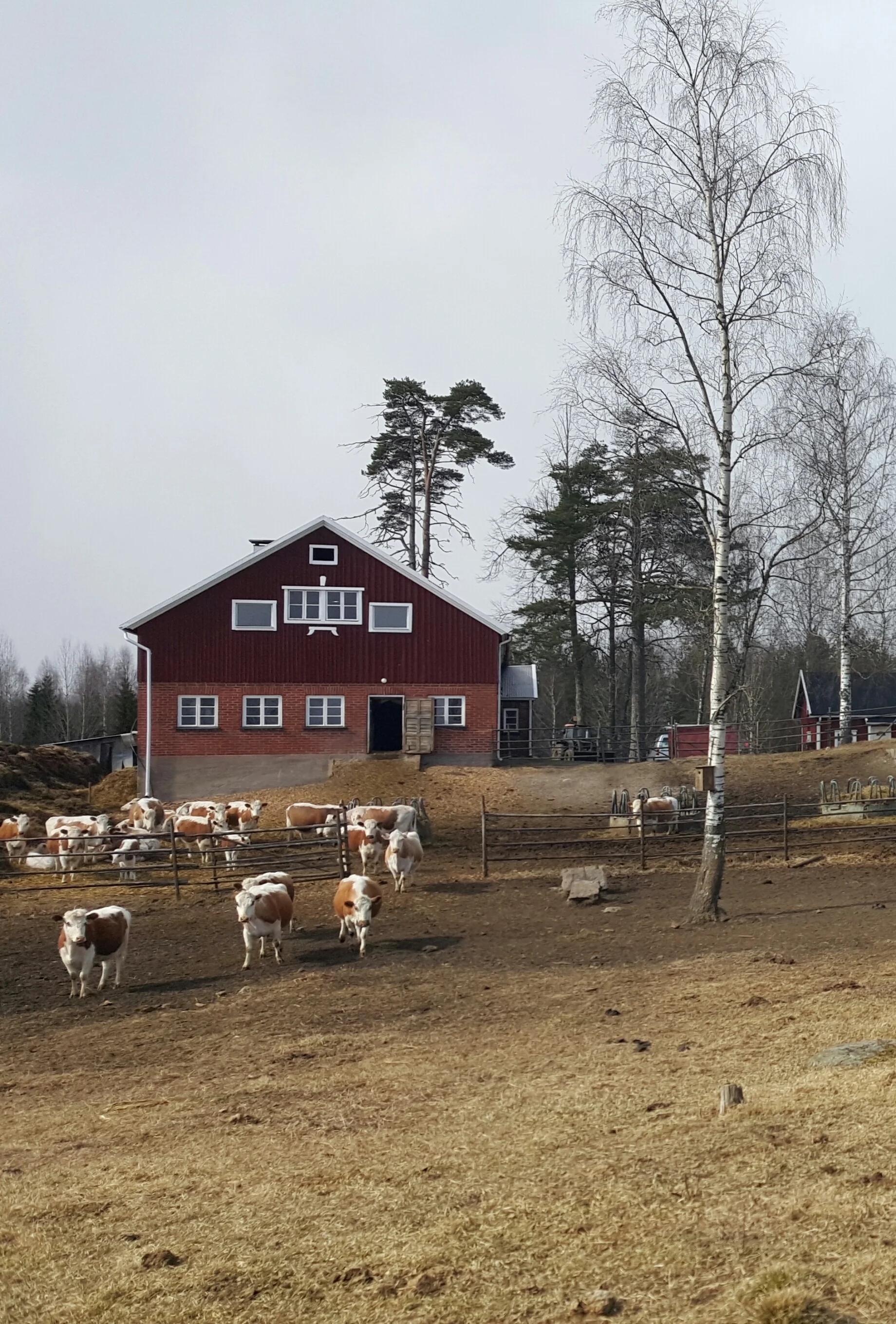 20170415_114712-1.jpg