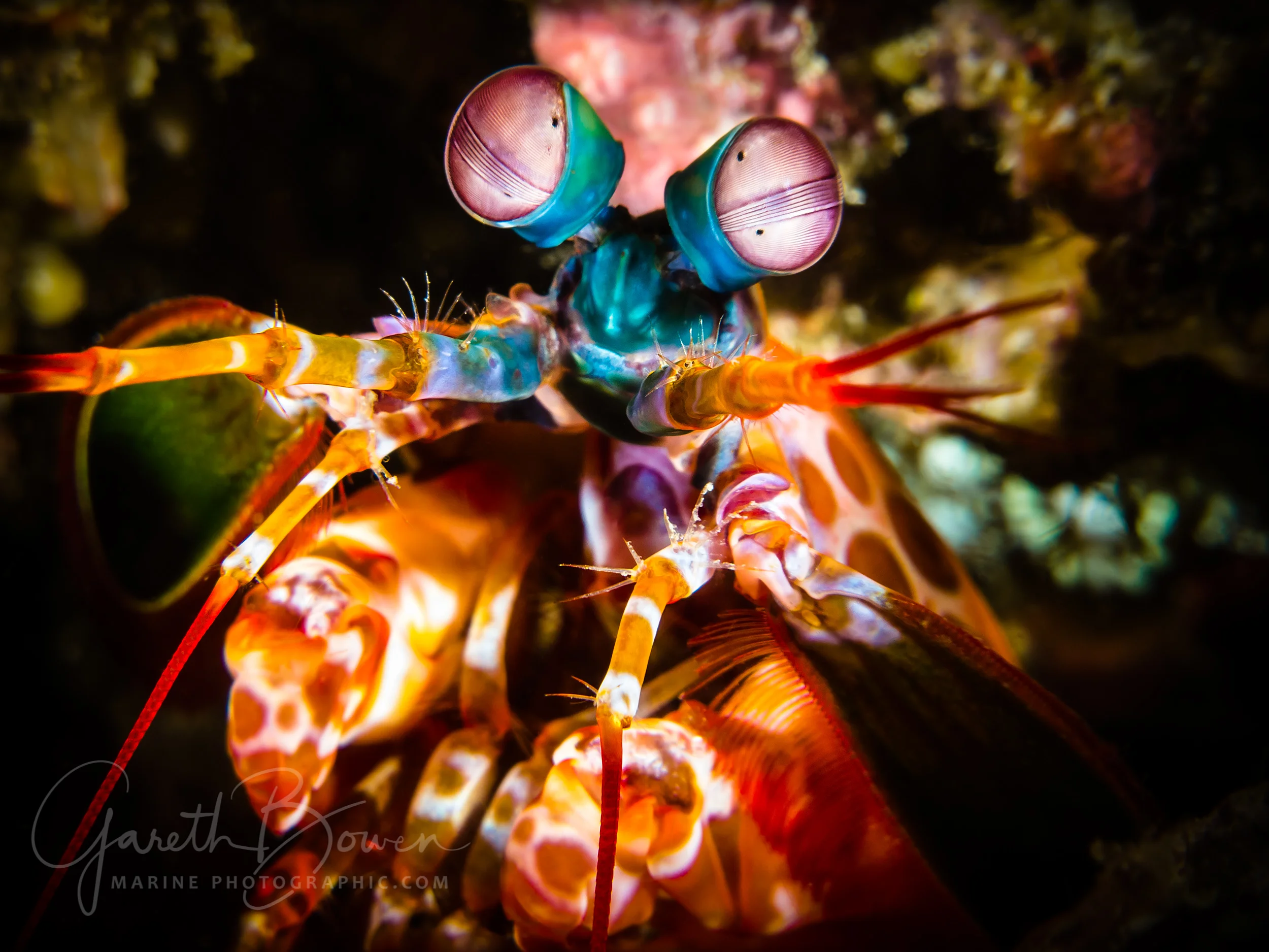 Puerto Galera, Philippines - April 2015 - Hugy Cup