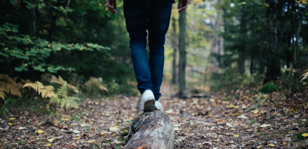 "My careful balance of rest, rehabilitation and now getting back into what connected me with Future Farm Lab has led me towards my next job