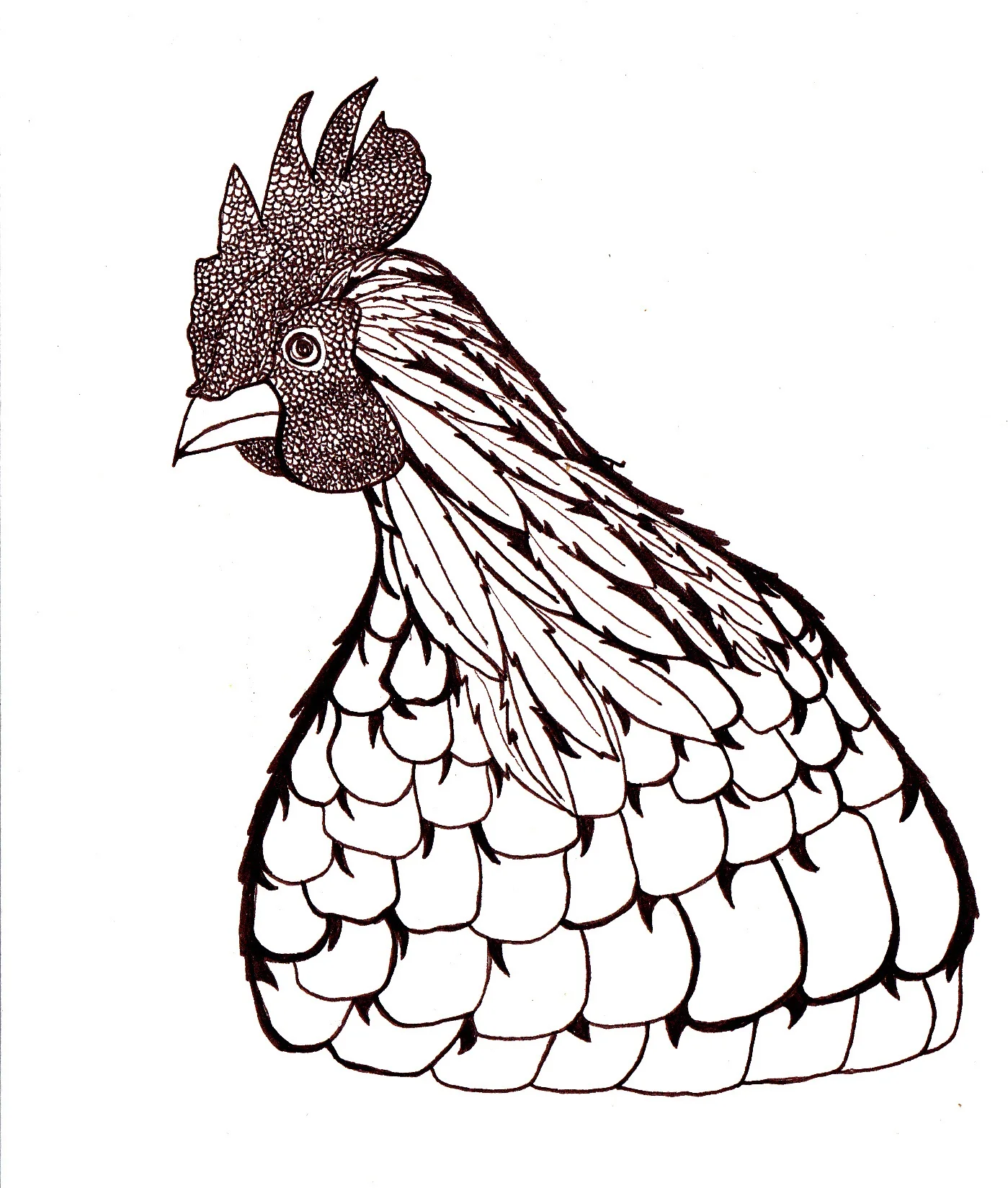 Jungle Fowl