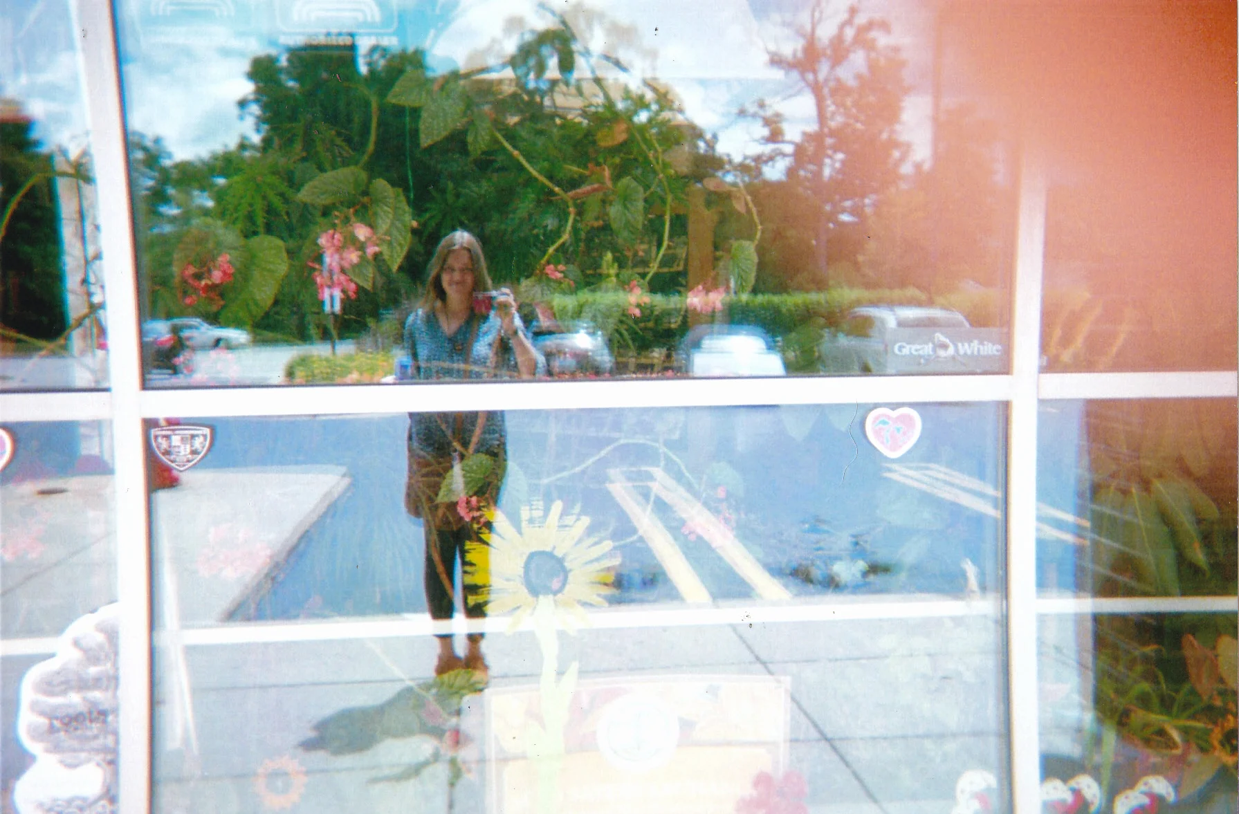 Botanical Window Me
